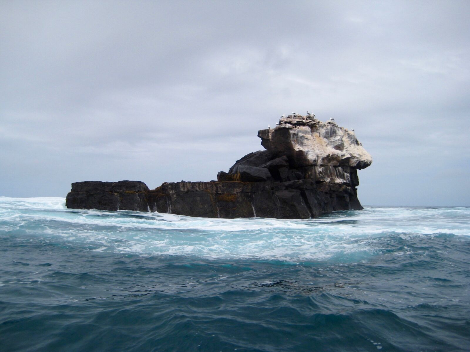 Canon DIGITAL IXUS 75 sample photo. Galapagos, island, birds photography