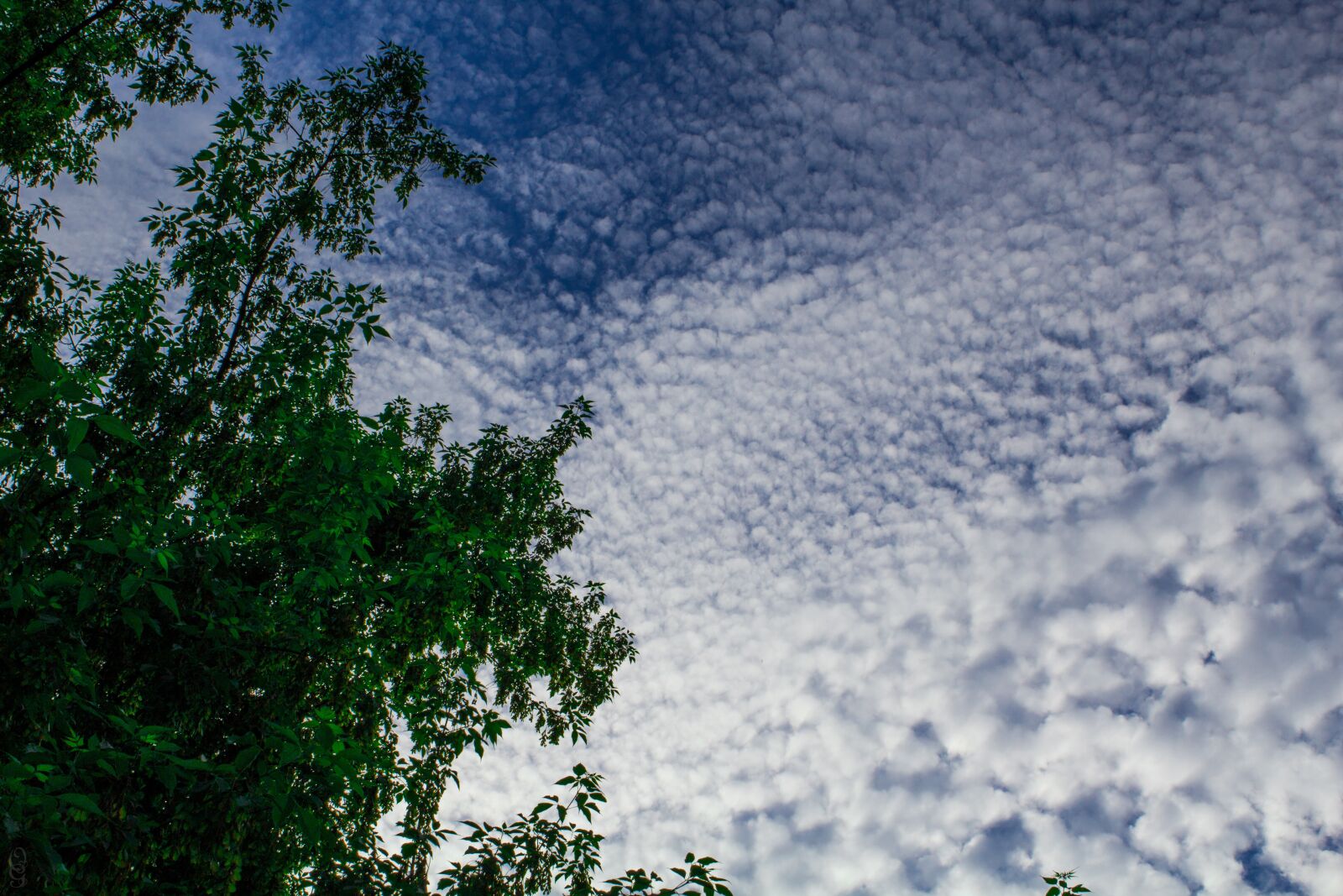 Canon EOS 1200D (EOS Rebel T5 / EOS Kiss X70 / EOS Hi) sample photo. Clouds, sky, blue sky photography