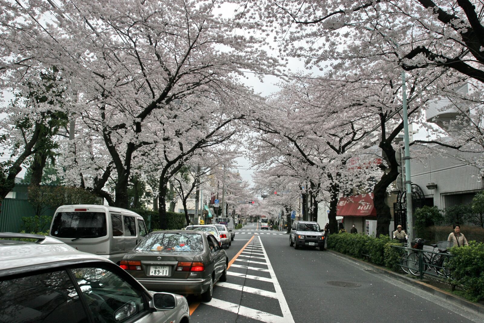 Canon EOS 20D sample photo. Xinqingmei street, tokyo, japan photography