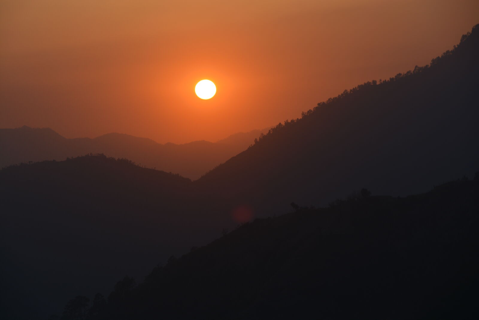 Nikon D5200 sample photo