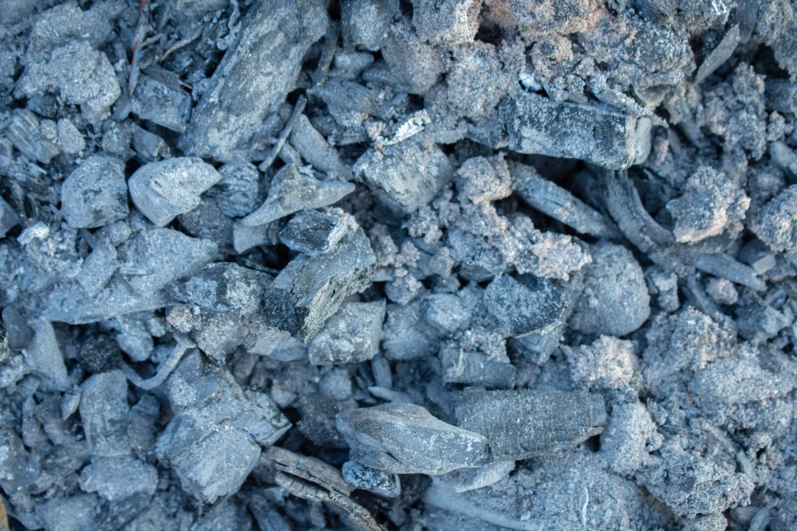 Nikon D7200 sample photo. Ash, cold fire, grey photography