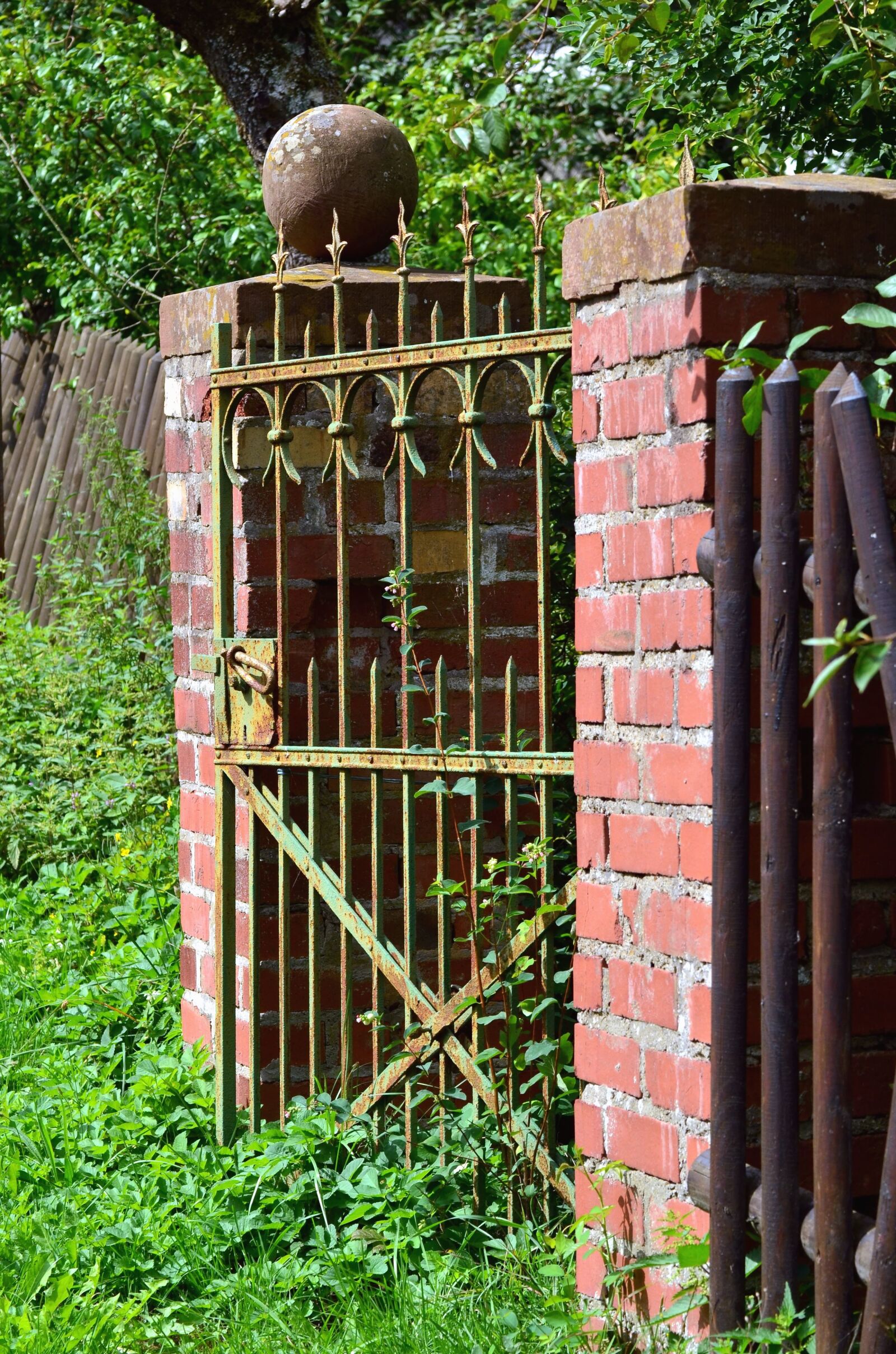Nikon D5100 sample photo. Door, metal, brick, plant photography