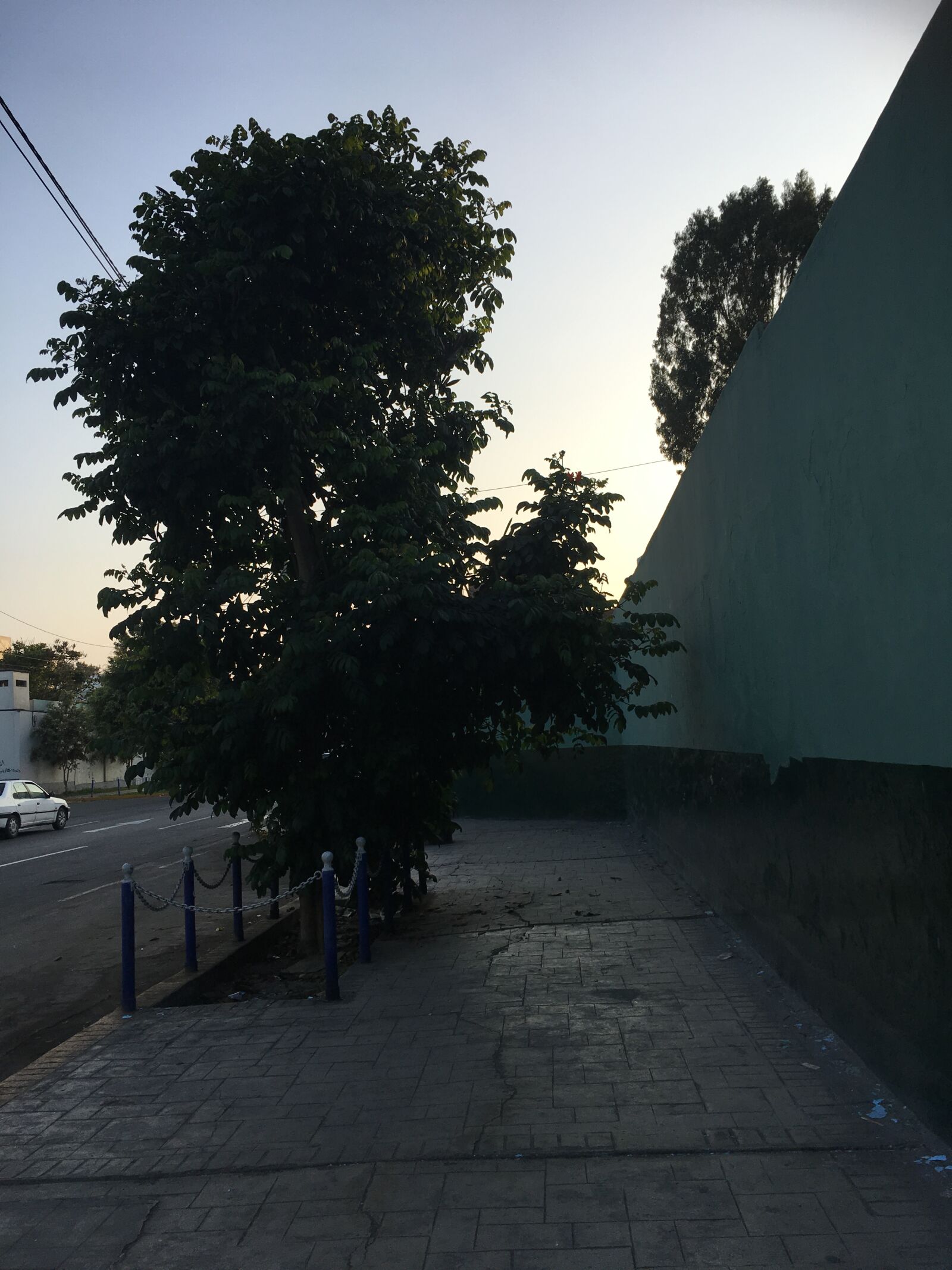 iPhone SE back camera 4.15mm f/2.2 sample photo. Avenue, district, dawn photography