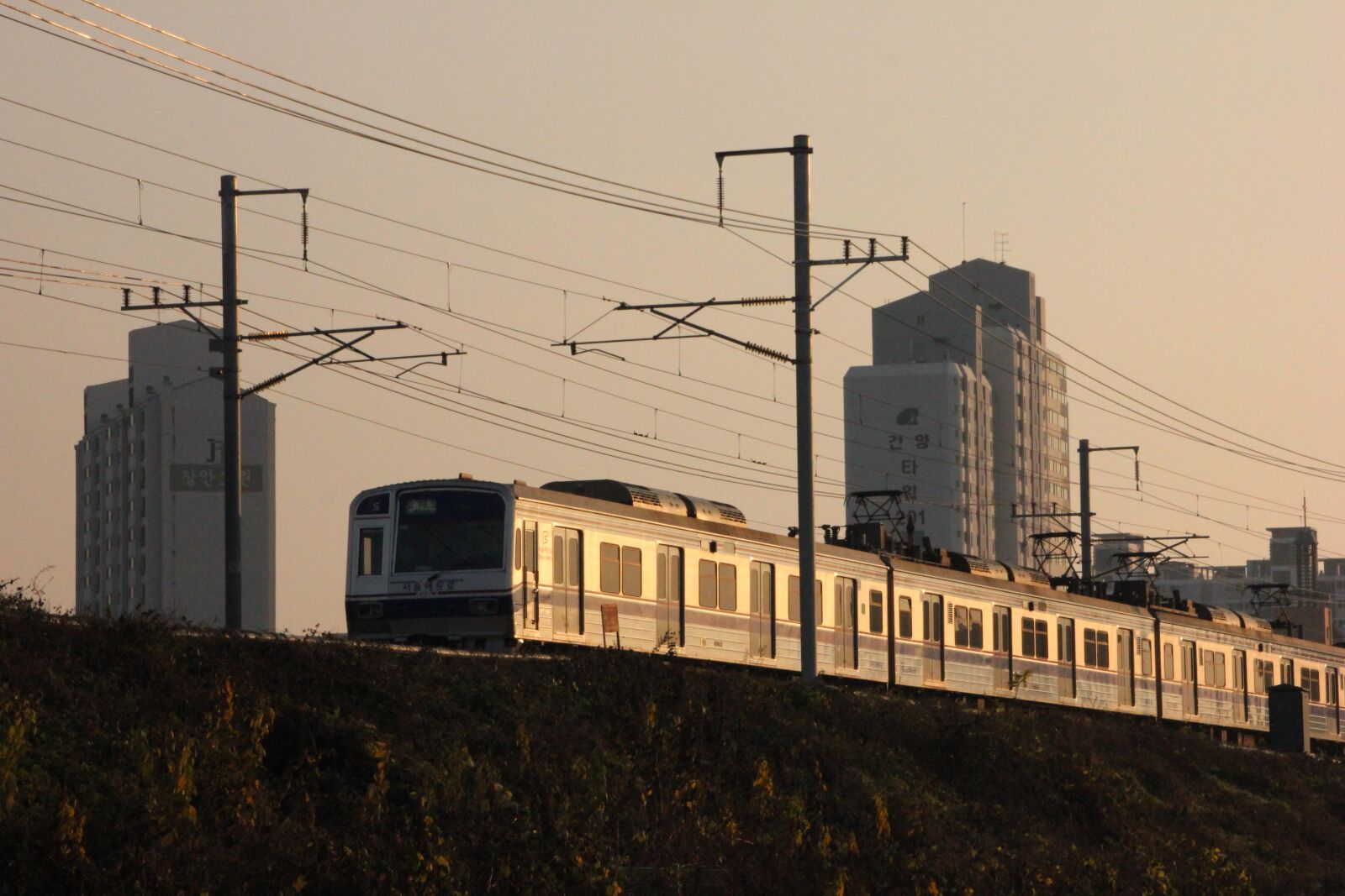 Canon EOS 600D (Rebel EOS T3i / EOS Kiss X5) sample photo. Train, subway, korea photography