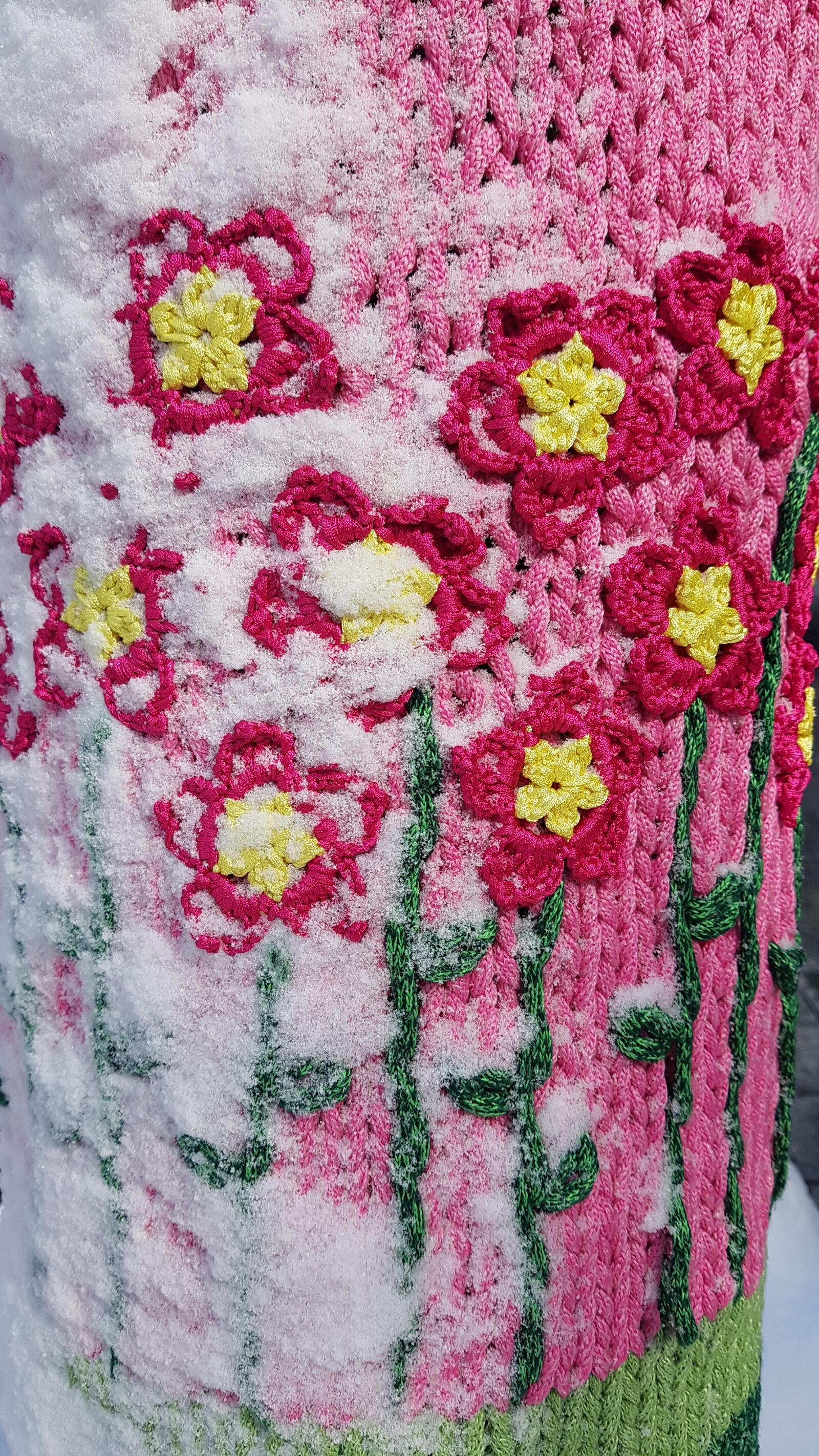 Samsung Galaxy Note Fan Edition sample photo. Snow, flower, winter photography
