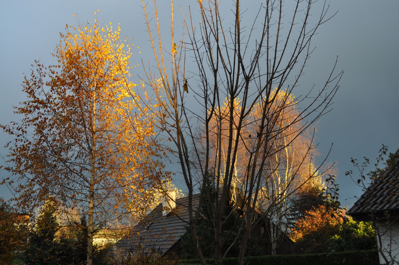 Nikon D5000 sample photo. Mood, sky, autumn photography