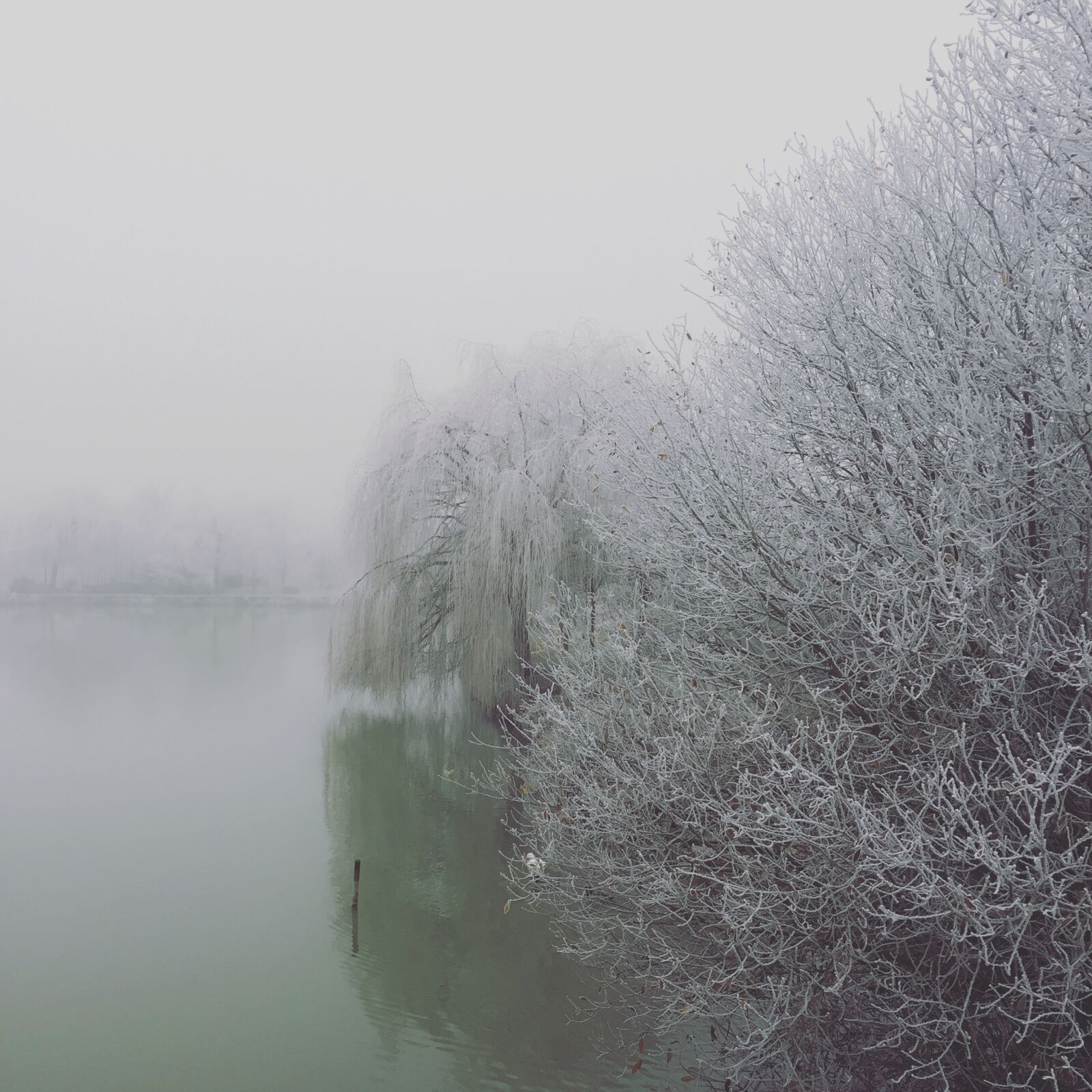 Apple iPhone 6 sample photo. Lake, winter, cold photography