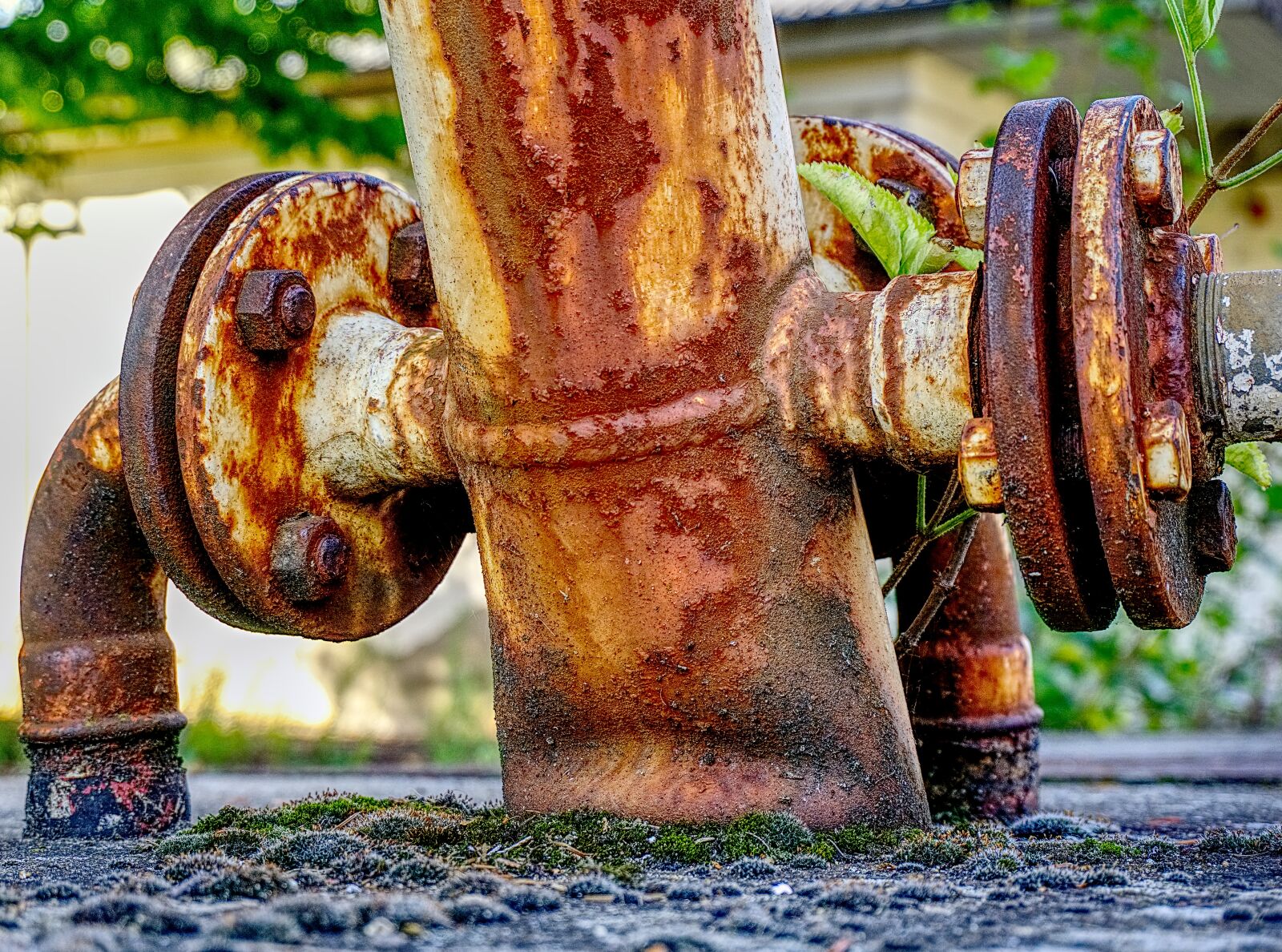 Sony a6000 sample photo. Tube, line, rust photography