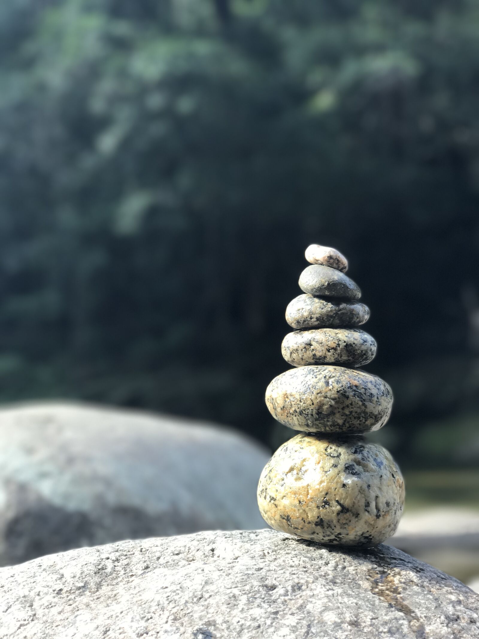 Apple iPhone 7 Plus sample photo