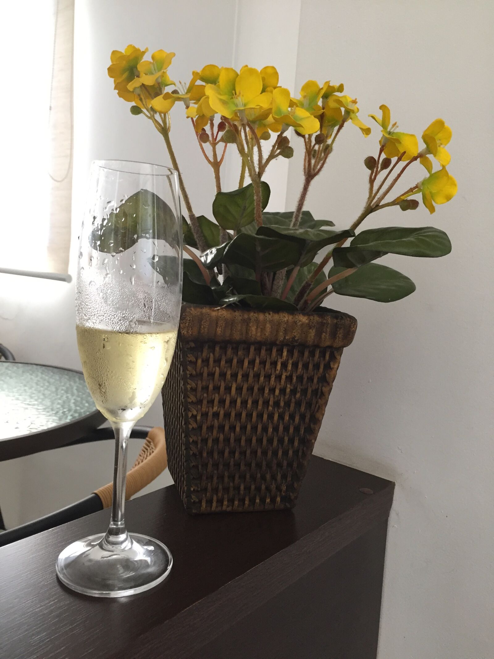Apple iPhone 6 sample photo