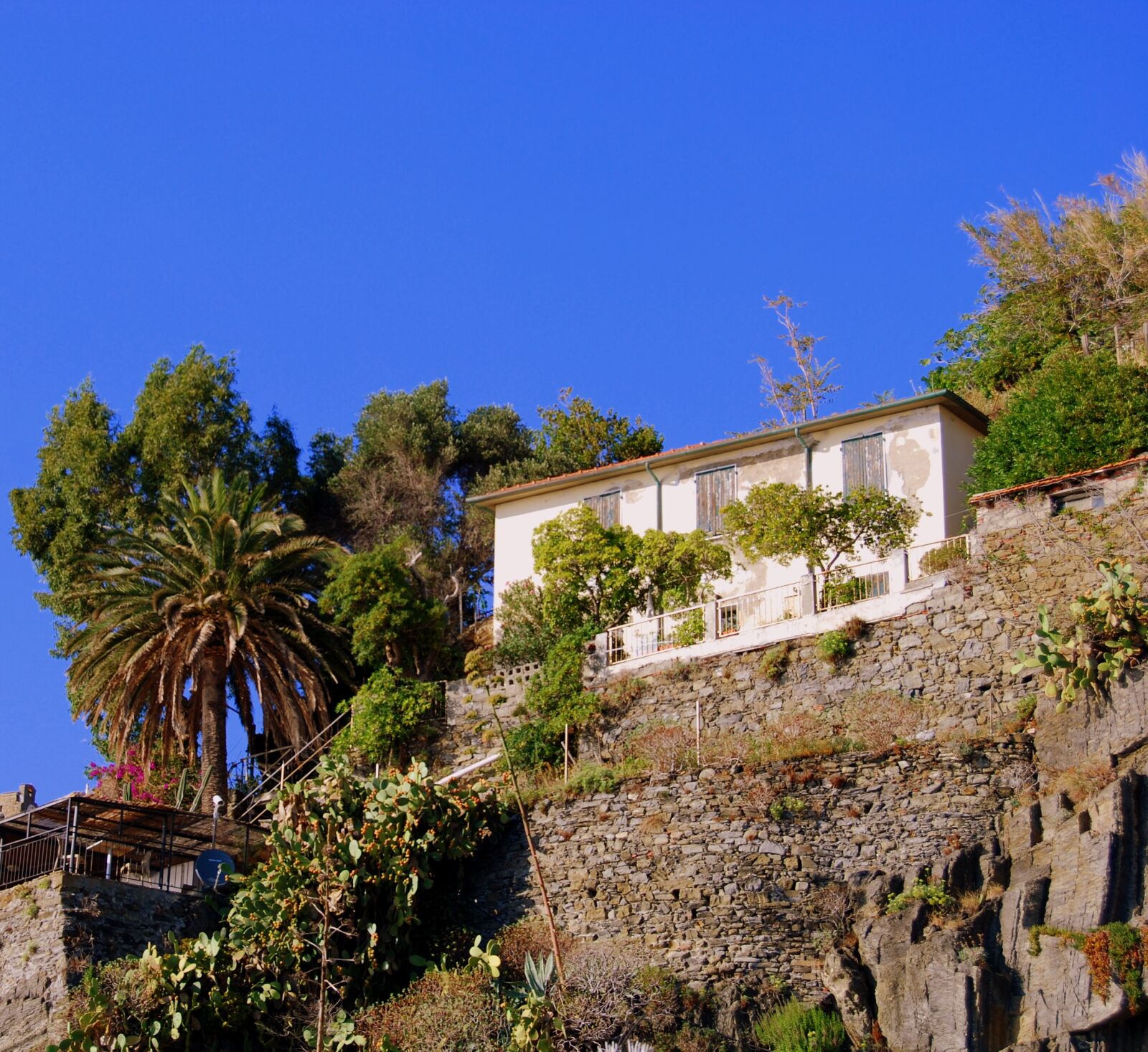 Nikon D60 sample photo. House, rock, green photography