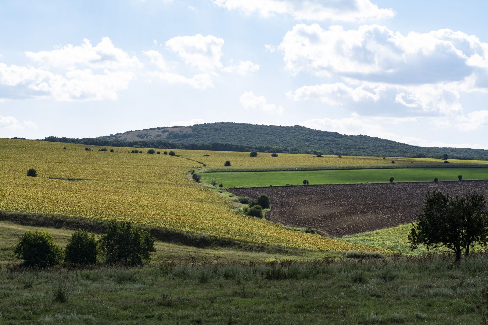 Nikon D7100 sample photo. Landscape, nature, hills photography