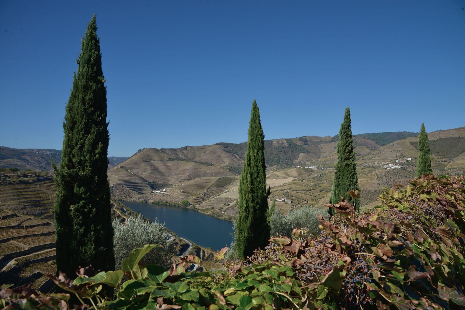 Nikon D600 sample photo. Portugal, douro, landscape photography
