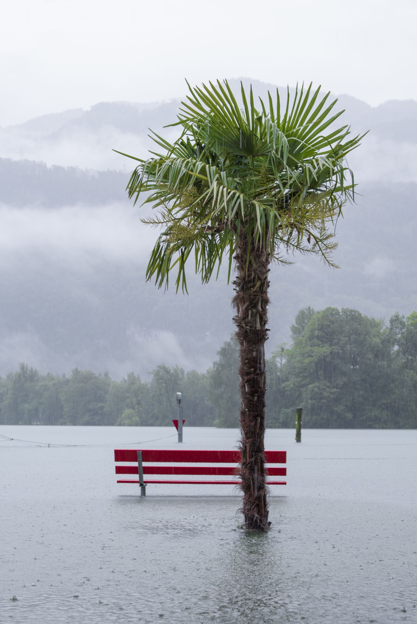 Nikon D750 sample photo. Rain, lake, high water photography
