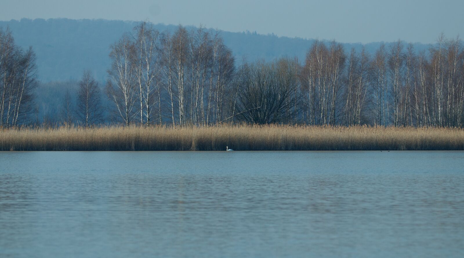 150-600mm F5-6.3 DG OS HSM | Contemporary 015 sample photo. Lake, bank, landscape photography