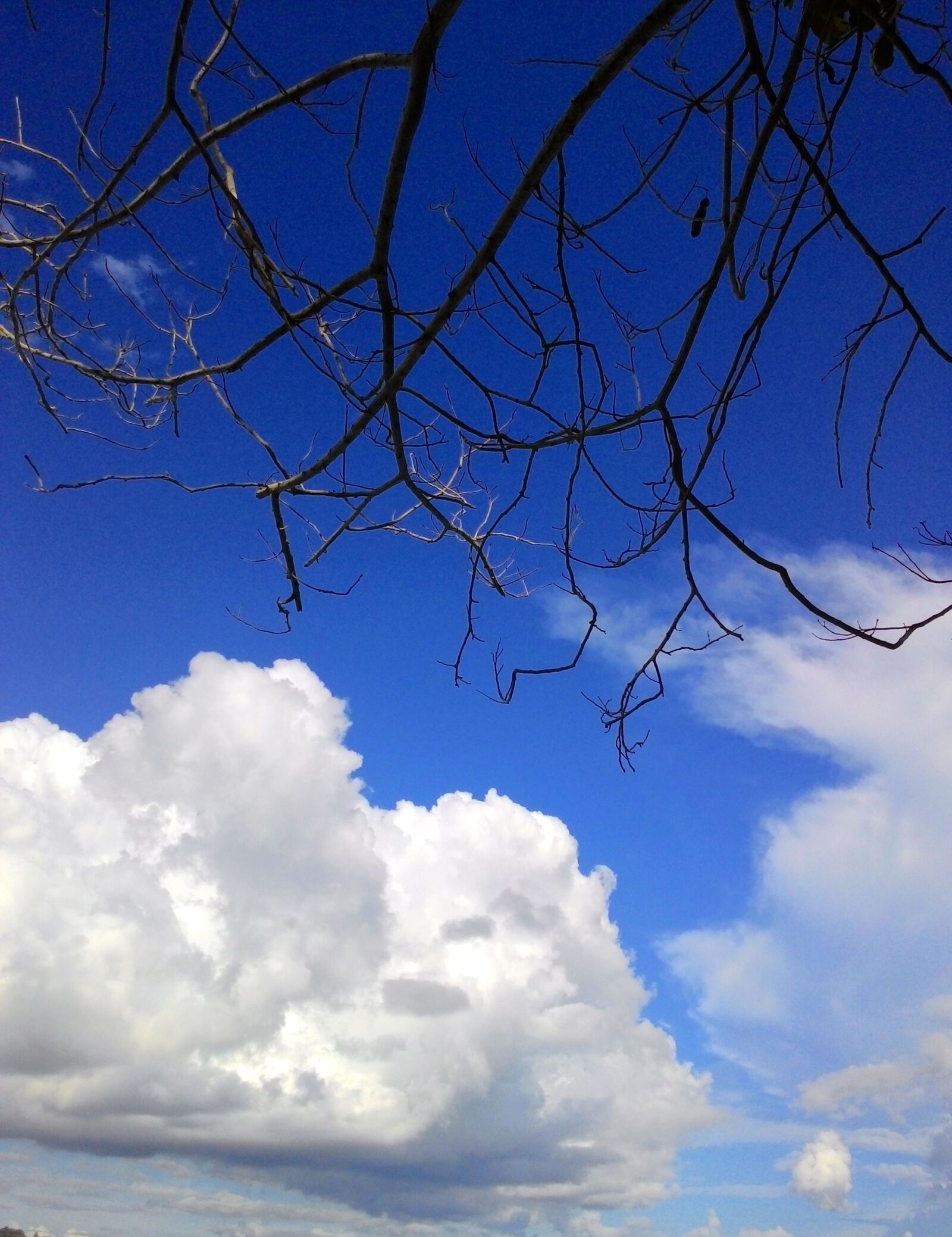 ASUS T00F sample photo. Sky, blue, cloud photography