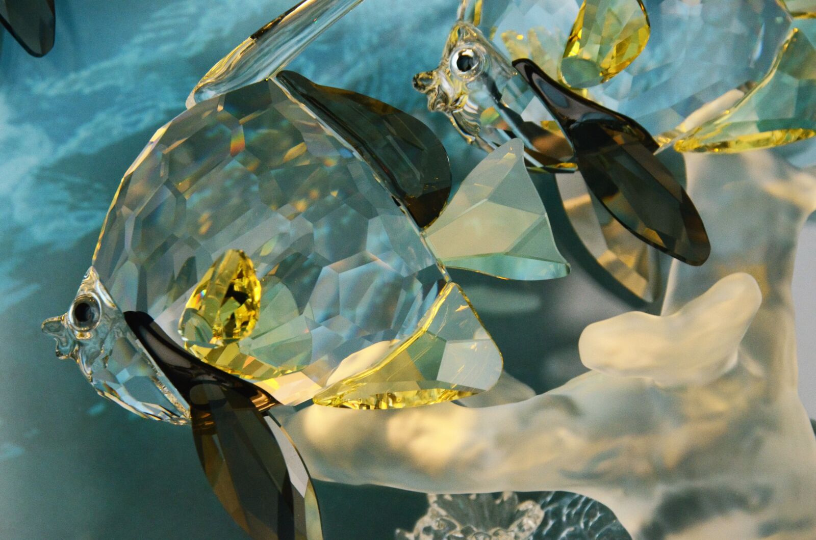 Nikon D7000 sample photo. Glass, fish, abstract photography