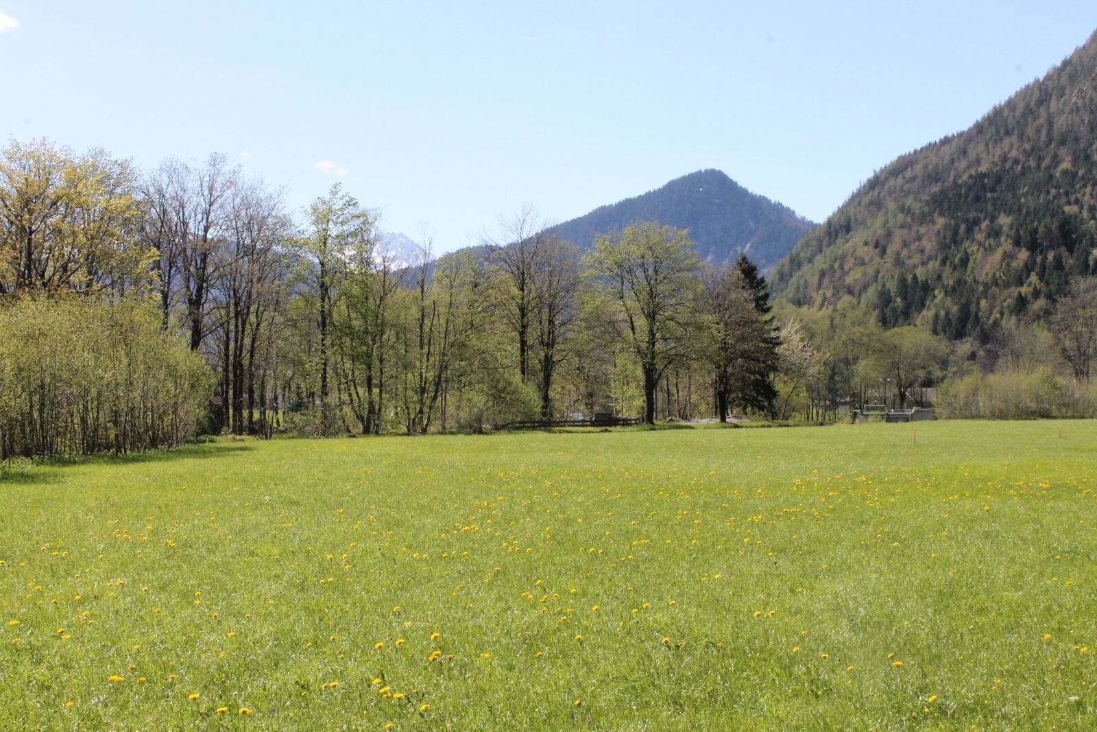 Canon EOS 1100D (EOS Rebel T3 / EOS Kiss X50) sample photo. Alm, meadow, mountains photography
