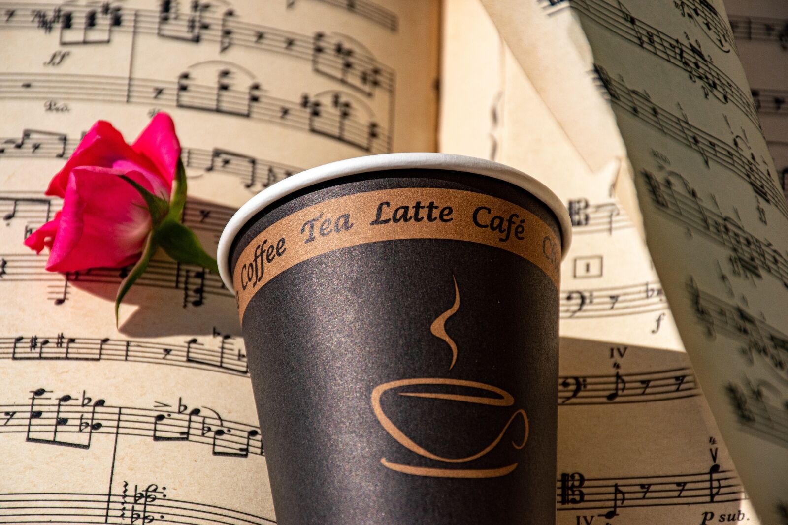 Nikon D5600 sample photo. Espresso, rose, coffee photography