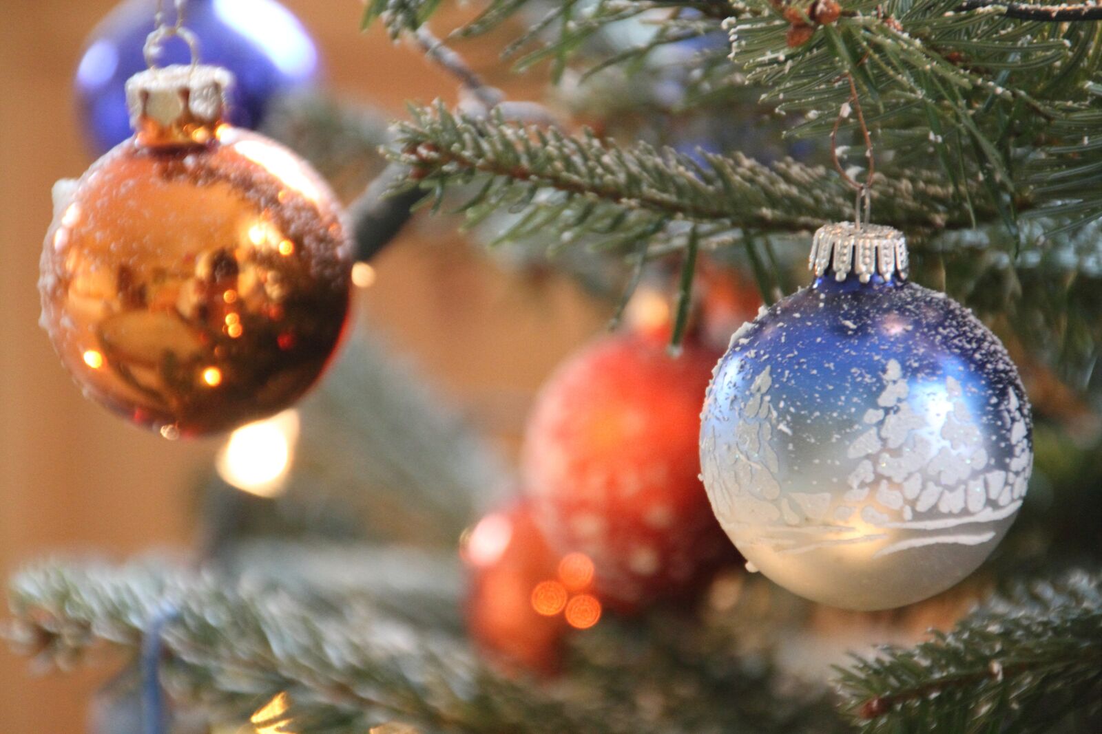 Canon EOS 7D sample photo. Christmas, christmas tree, fir photography