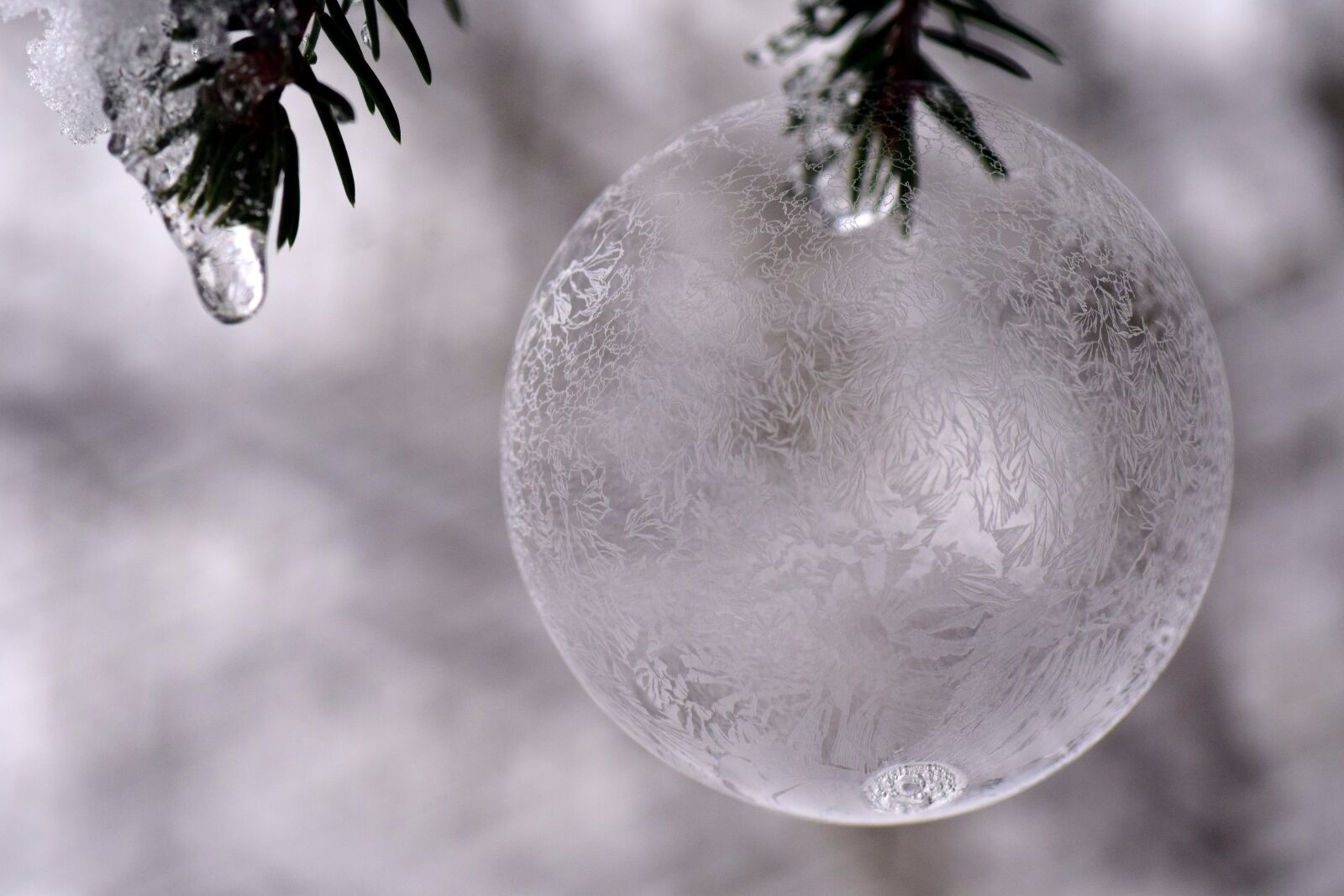Nikon D3300 sample photo. Ball, ice ball, frosty photography