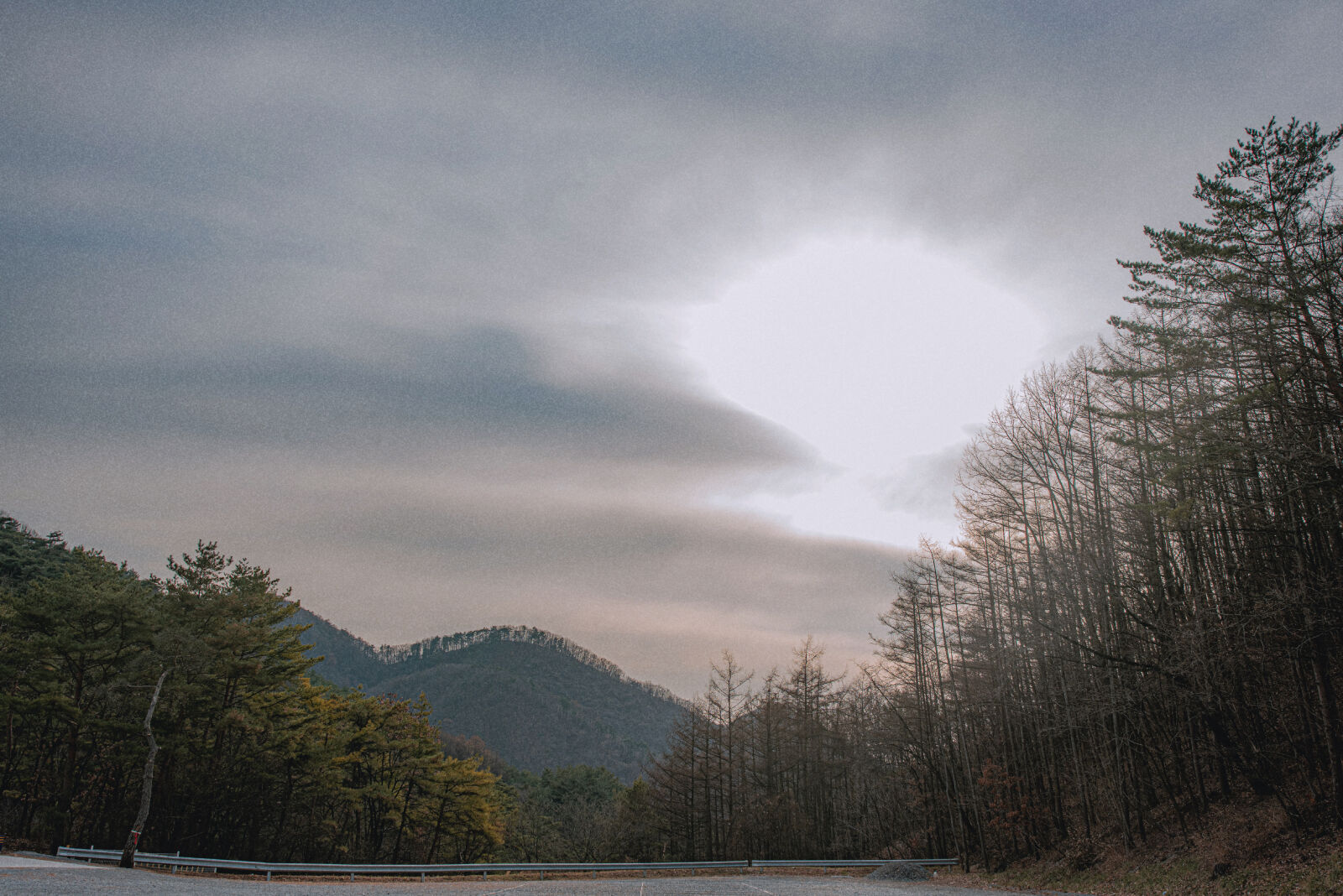 Nikon D810 sample photo