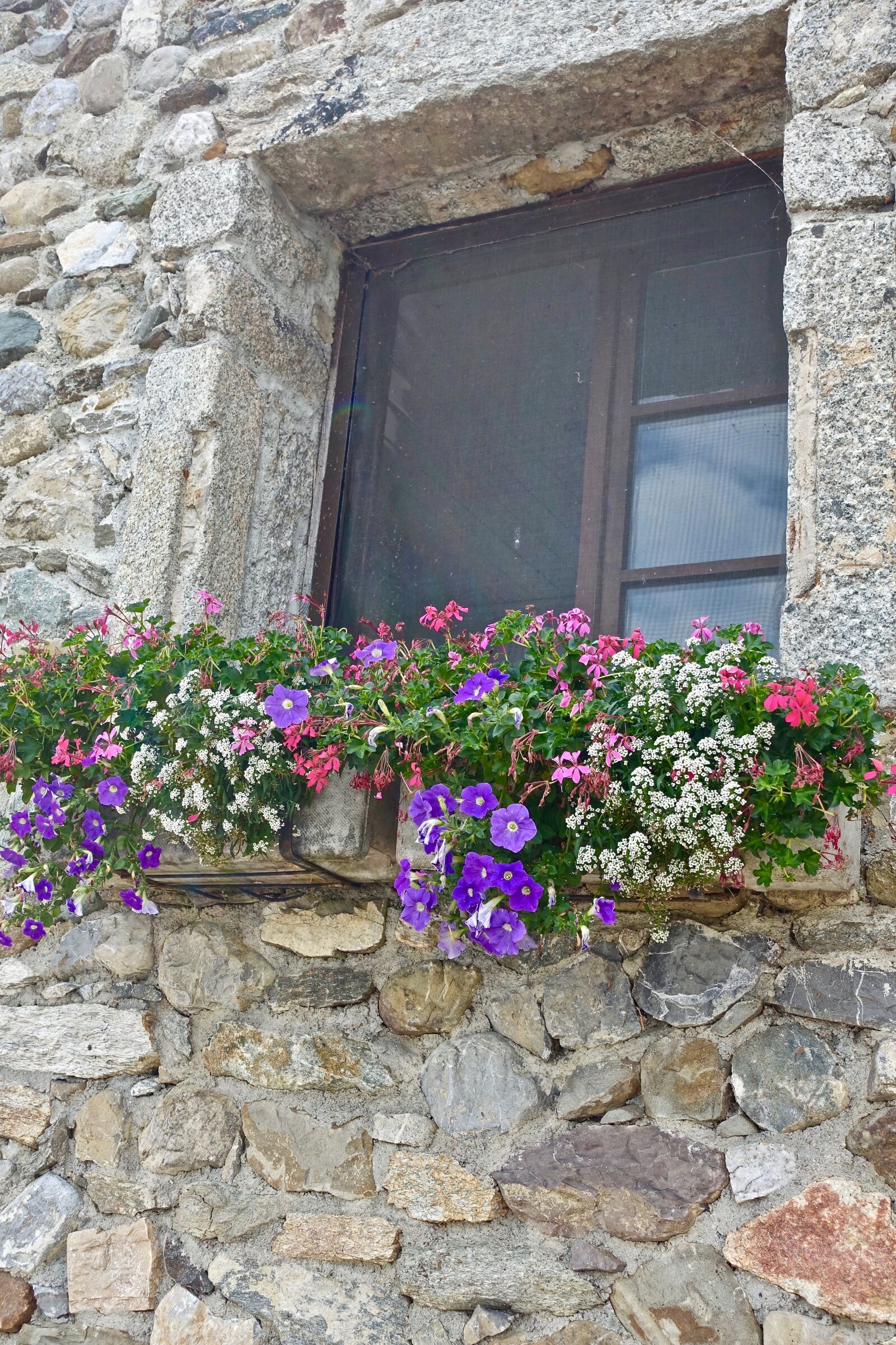 Sony Cyber-shot DSC-RX100 III sample photo. Flowers, house, stone photography