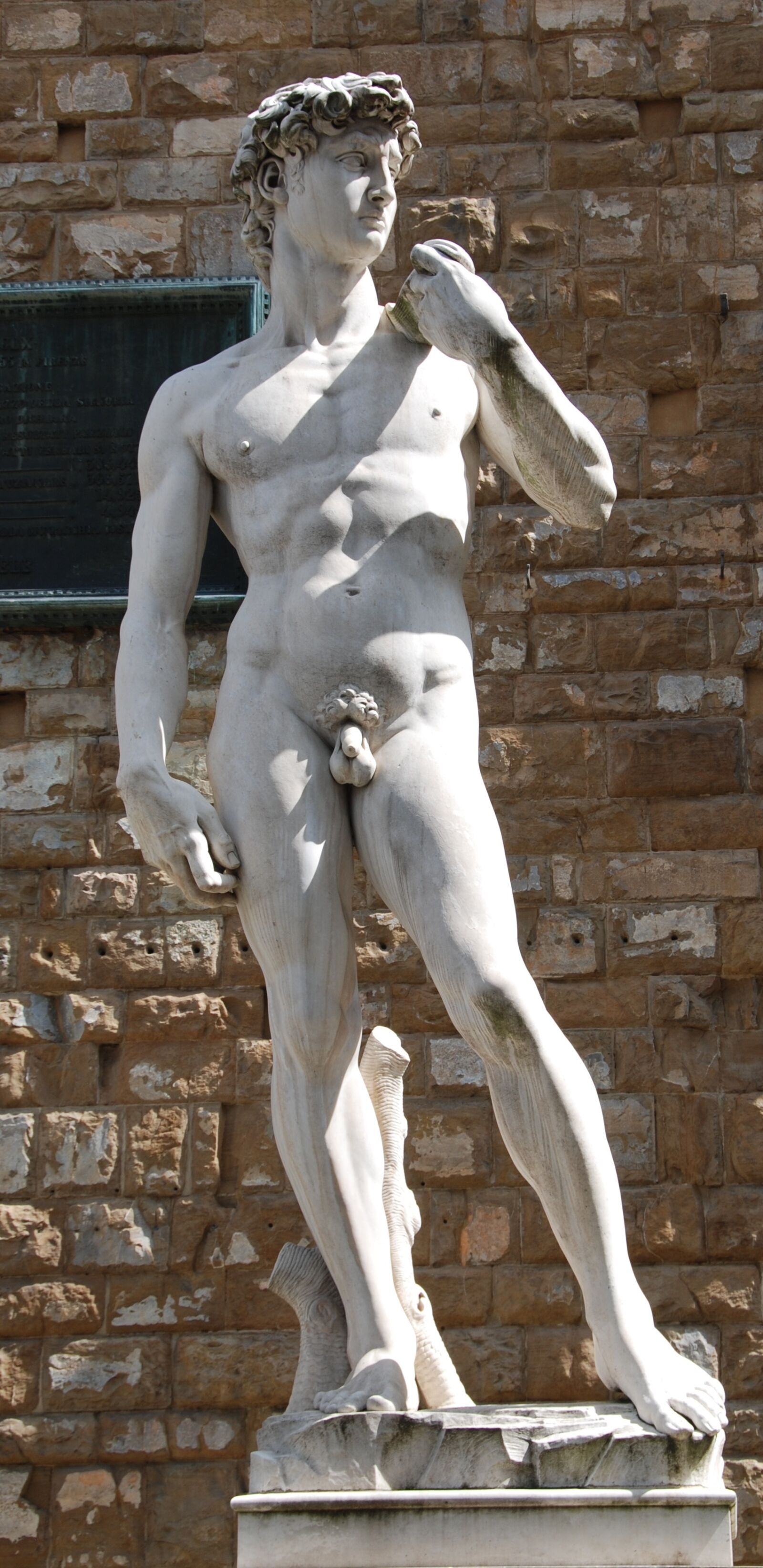 Nikon D80 sample photo. David, michelangelo, florence photography