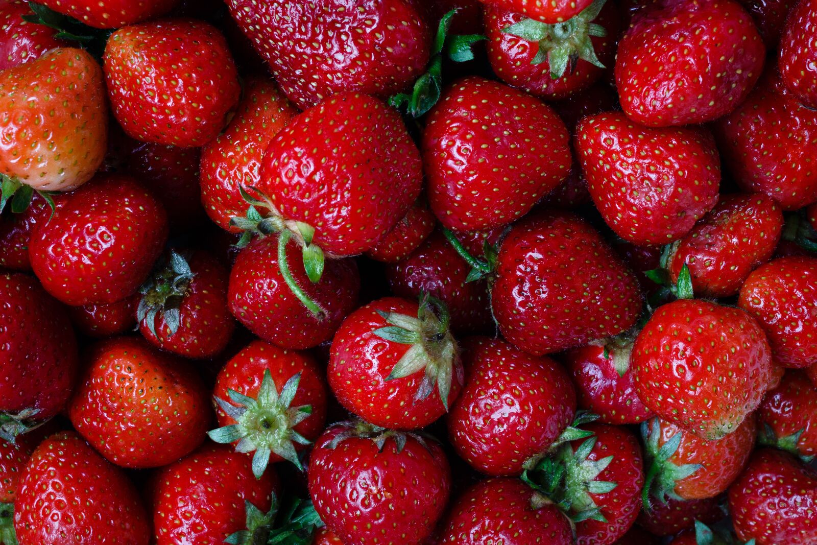 Canon EOS 100D (EOS Rebel SL1 / EOS Kiss X7) + Canon EF 40mm F2.8 STM sample photo. Strawberry, berry, plant photography