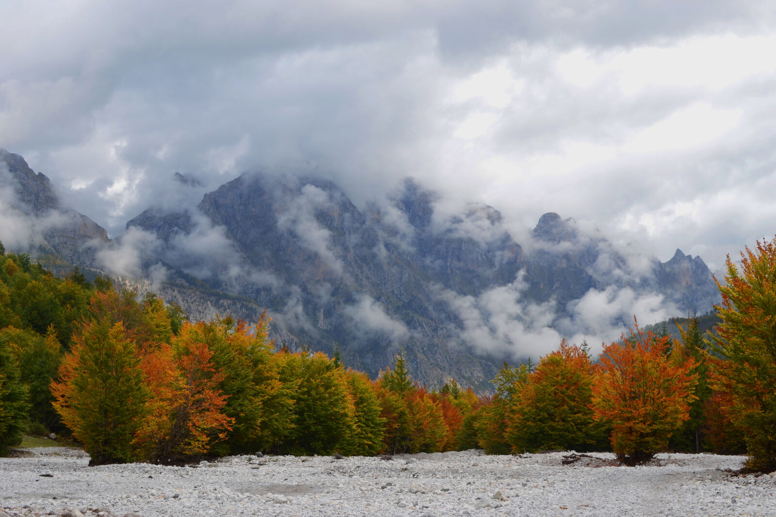 Nikon D3100 sample photo. Autumn, autumn, colours, clouds photography