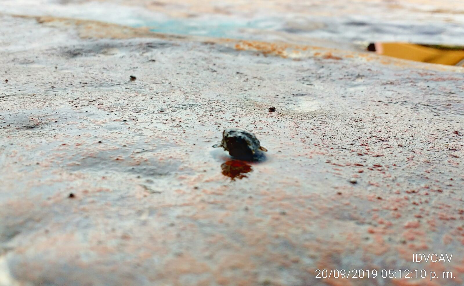 Motorola MotoG3 sample photo. Piedra, lluvia, agua photography