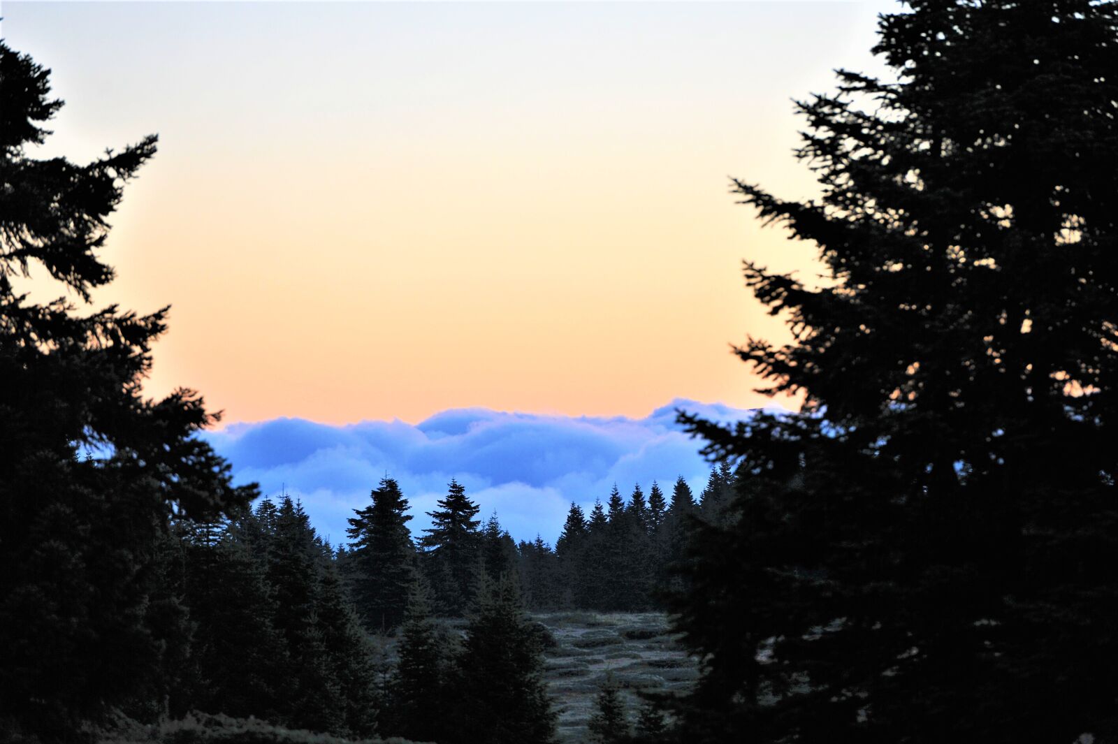 Nikon D3S sample photo. Dawn, nativity of the photography