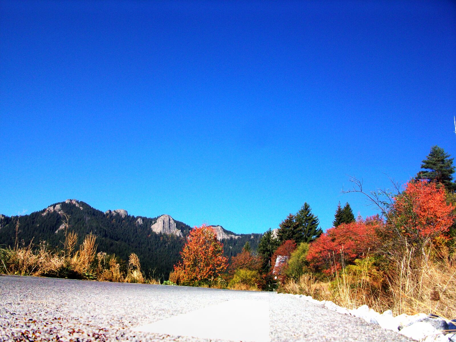Kodak EASYSHARE M1063 DIGITAL CAMERA sample photo. Nature, road, sky photography