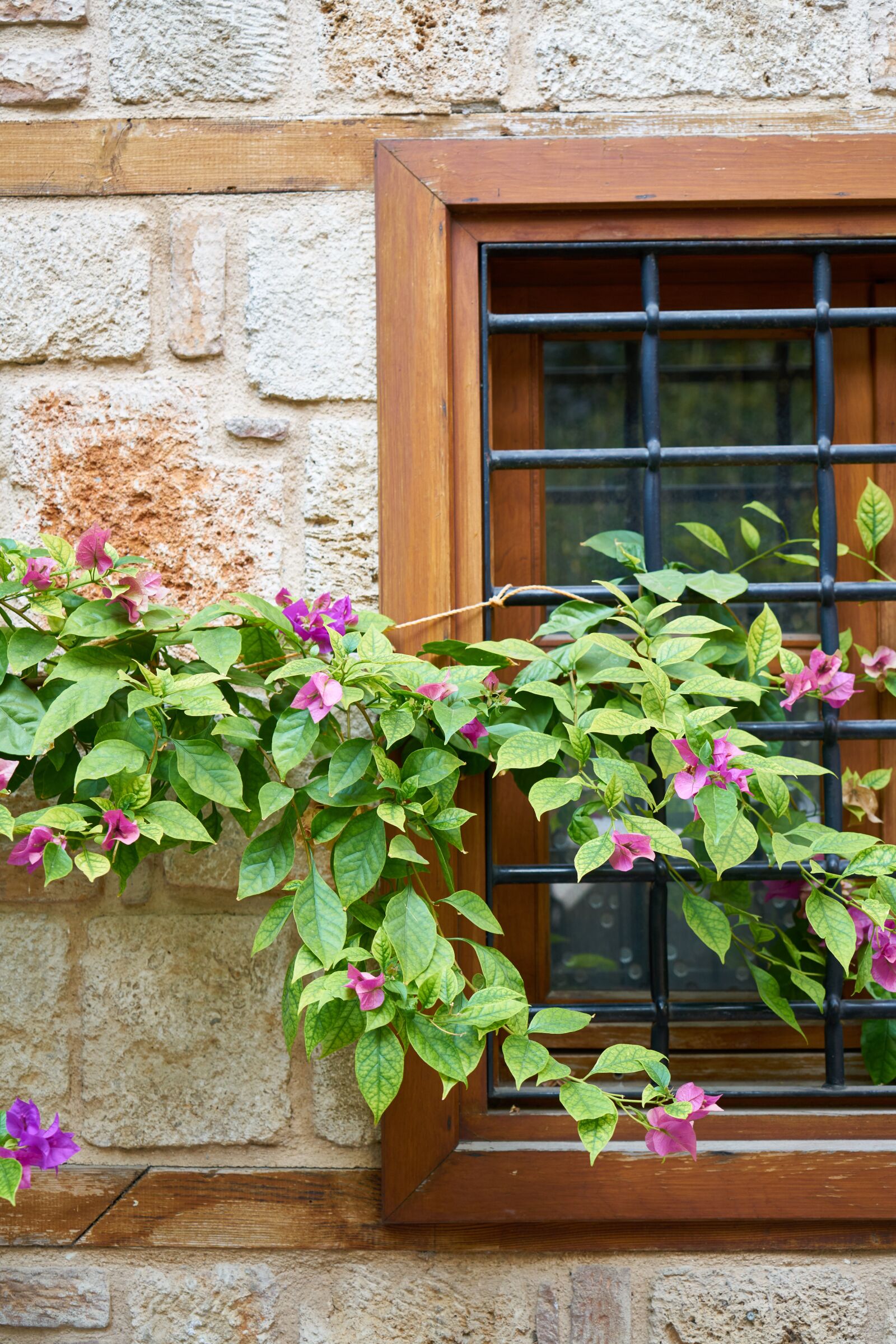 Sony a7R II sample photo. Balcony, window, flowerpot photography