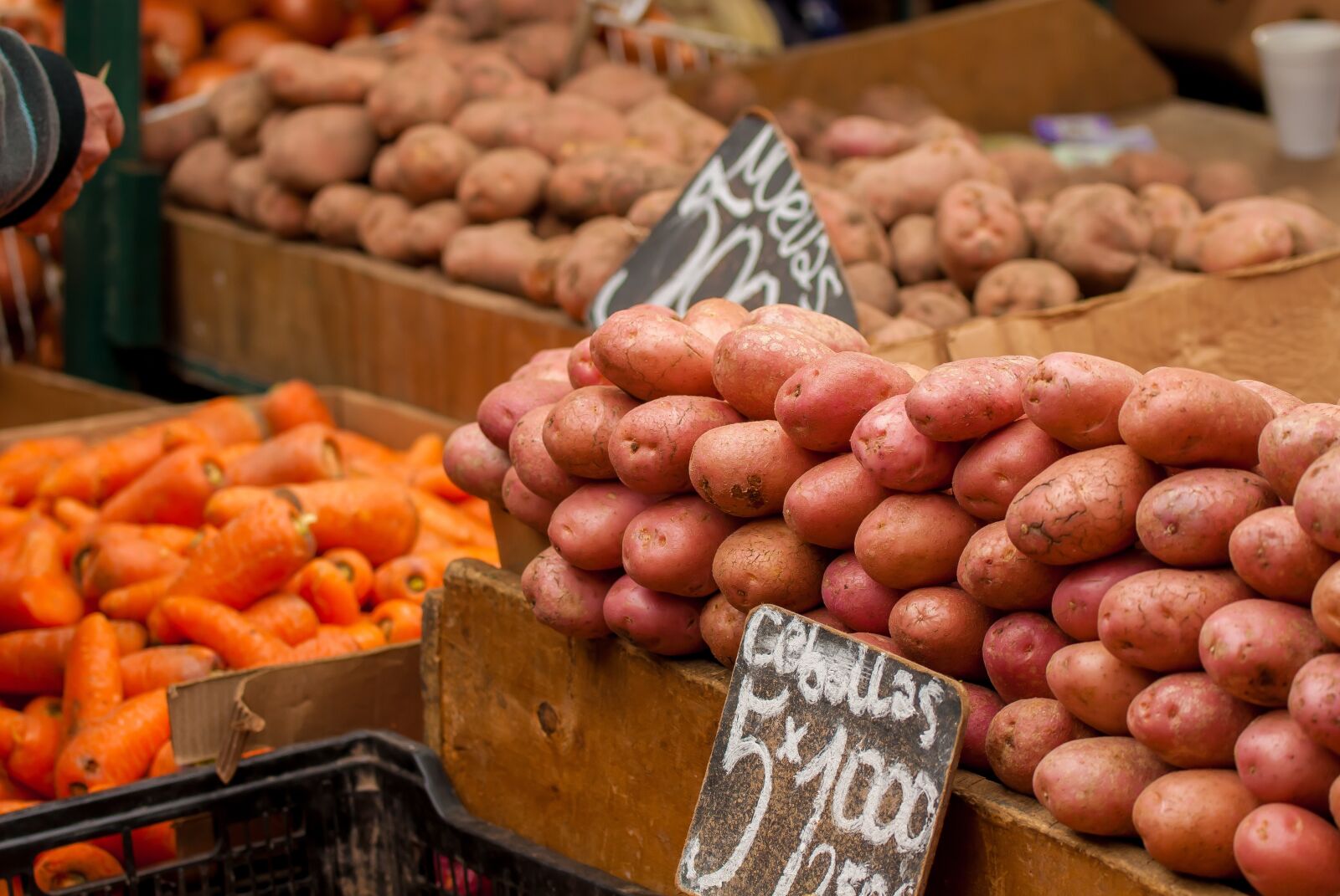 Nikon D200 sample photo. Potatos, carrots, vegetables photography