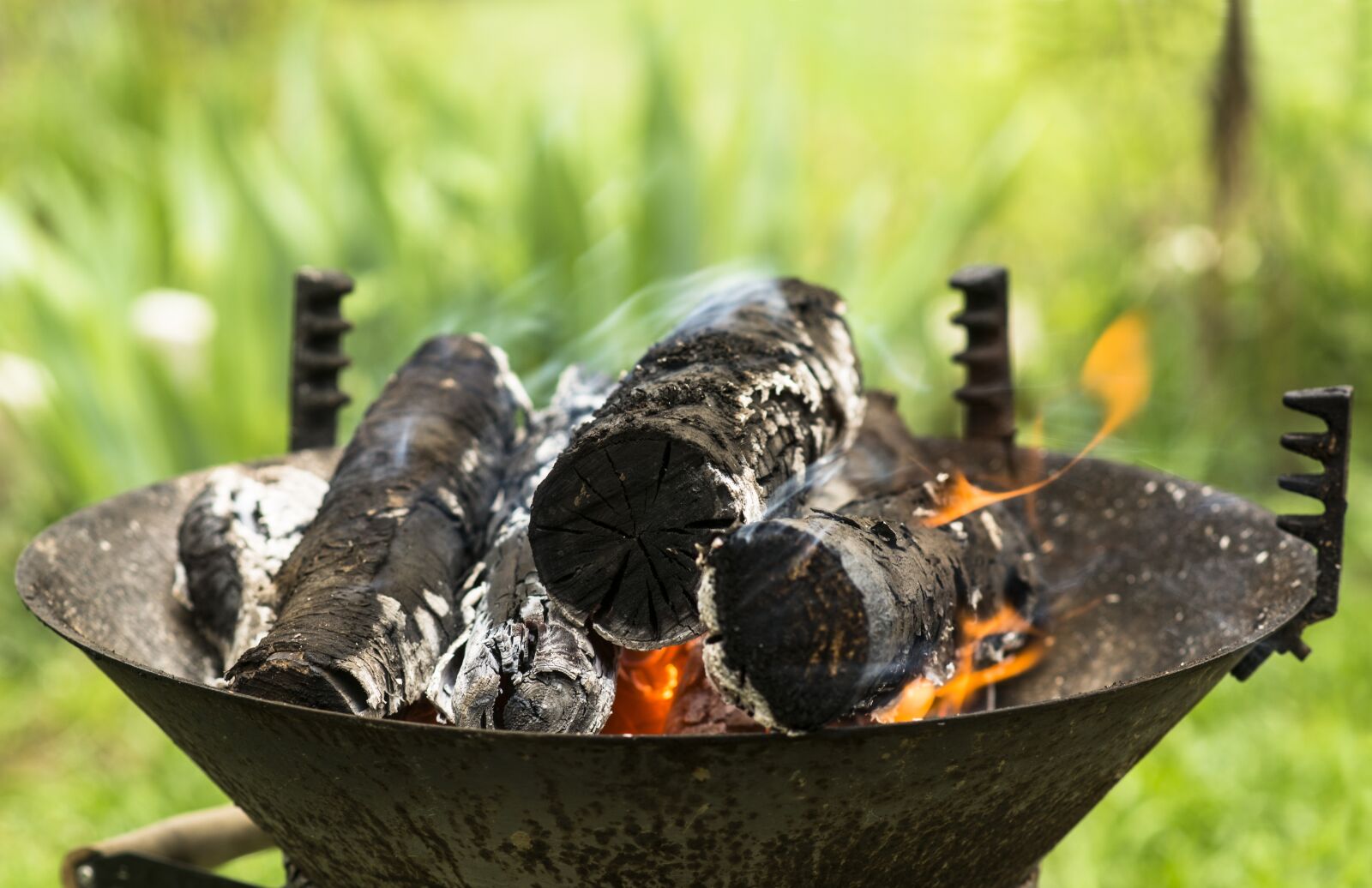 Nikon D7100 sample photo. Fire, wood, nature photography