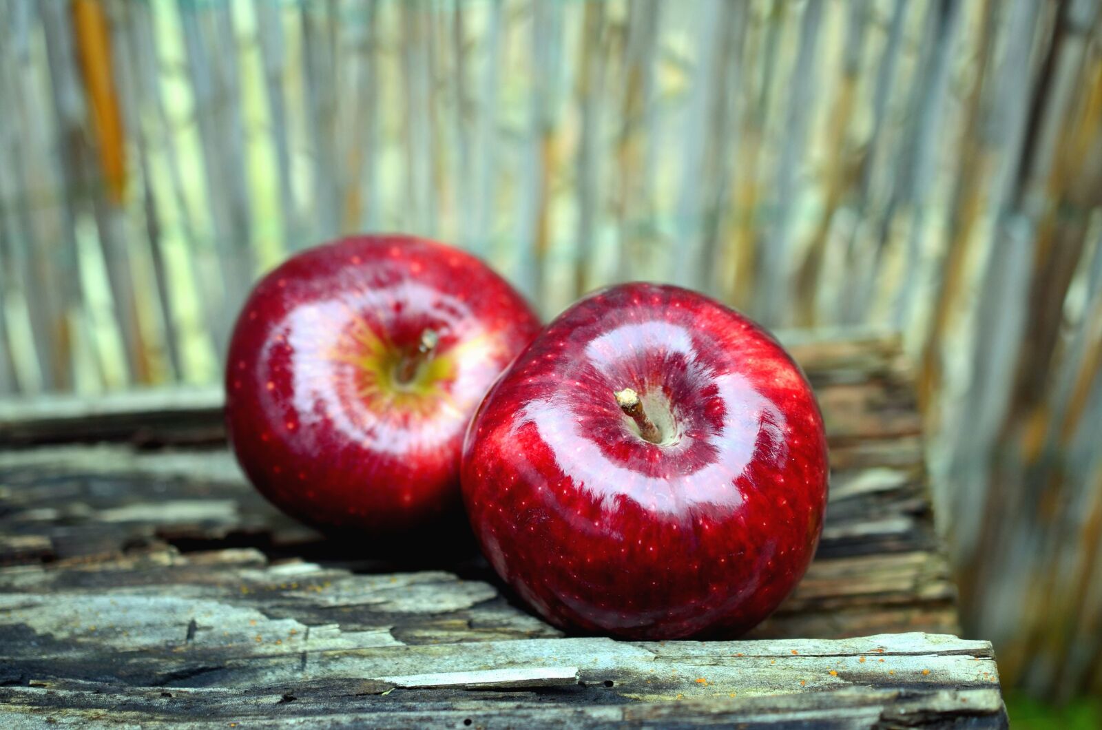 Nikon D5100 sample photo. Apple, fruit, wood, table photography