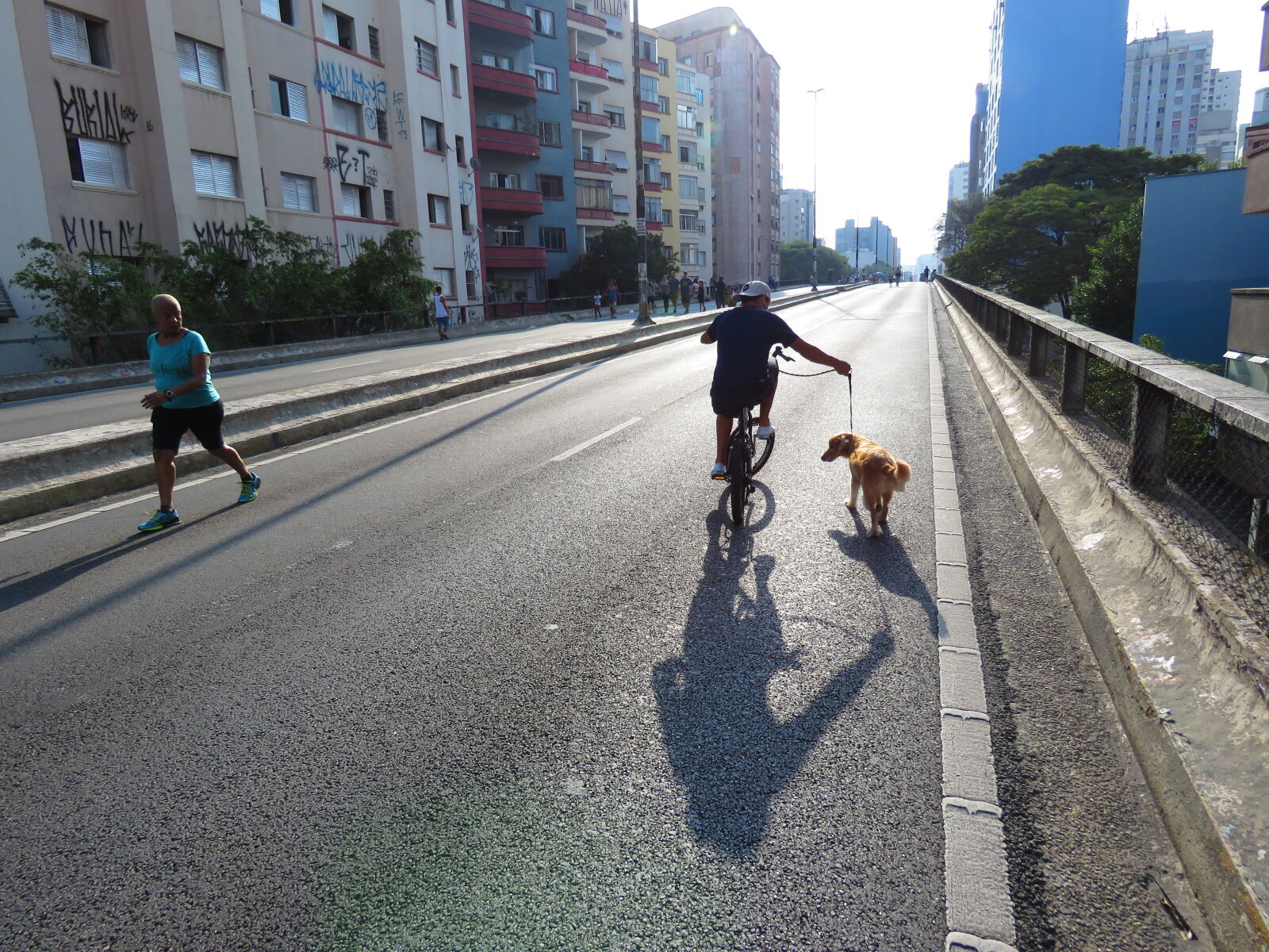 Canon PowerShot SX60 HS sample photo. Bike, dog, man, pet photography
