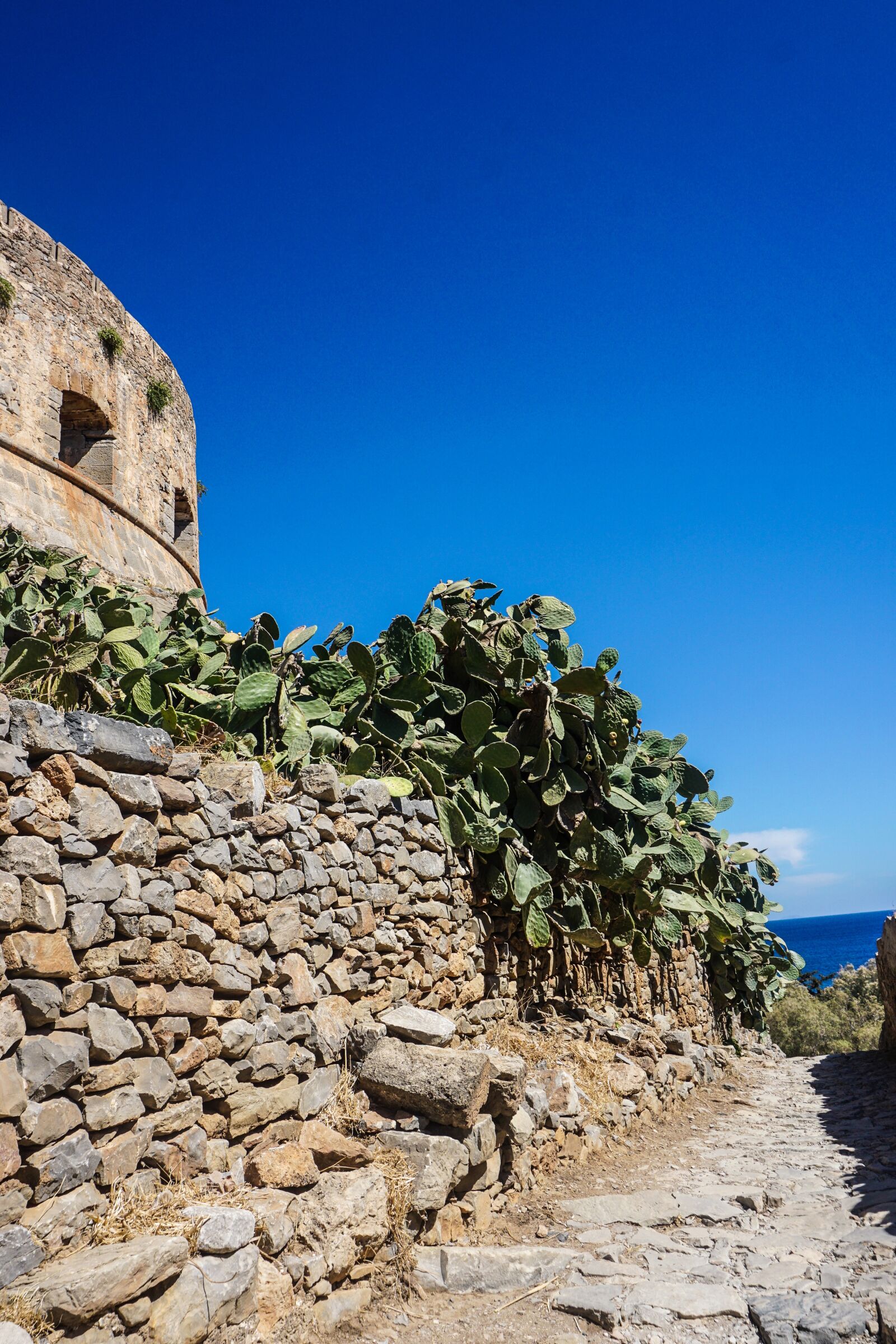 Sony a6000 sample photo. Greece, cactus, fortress photography