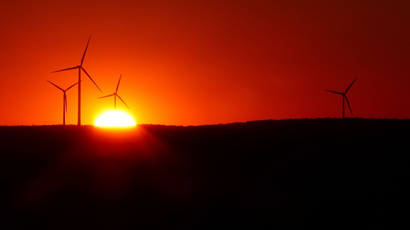 Panasonic Lumix DMC-FZ200 sample photo. Wind park, windr der photography