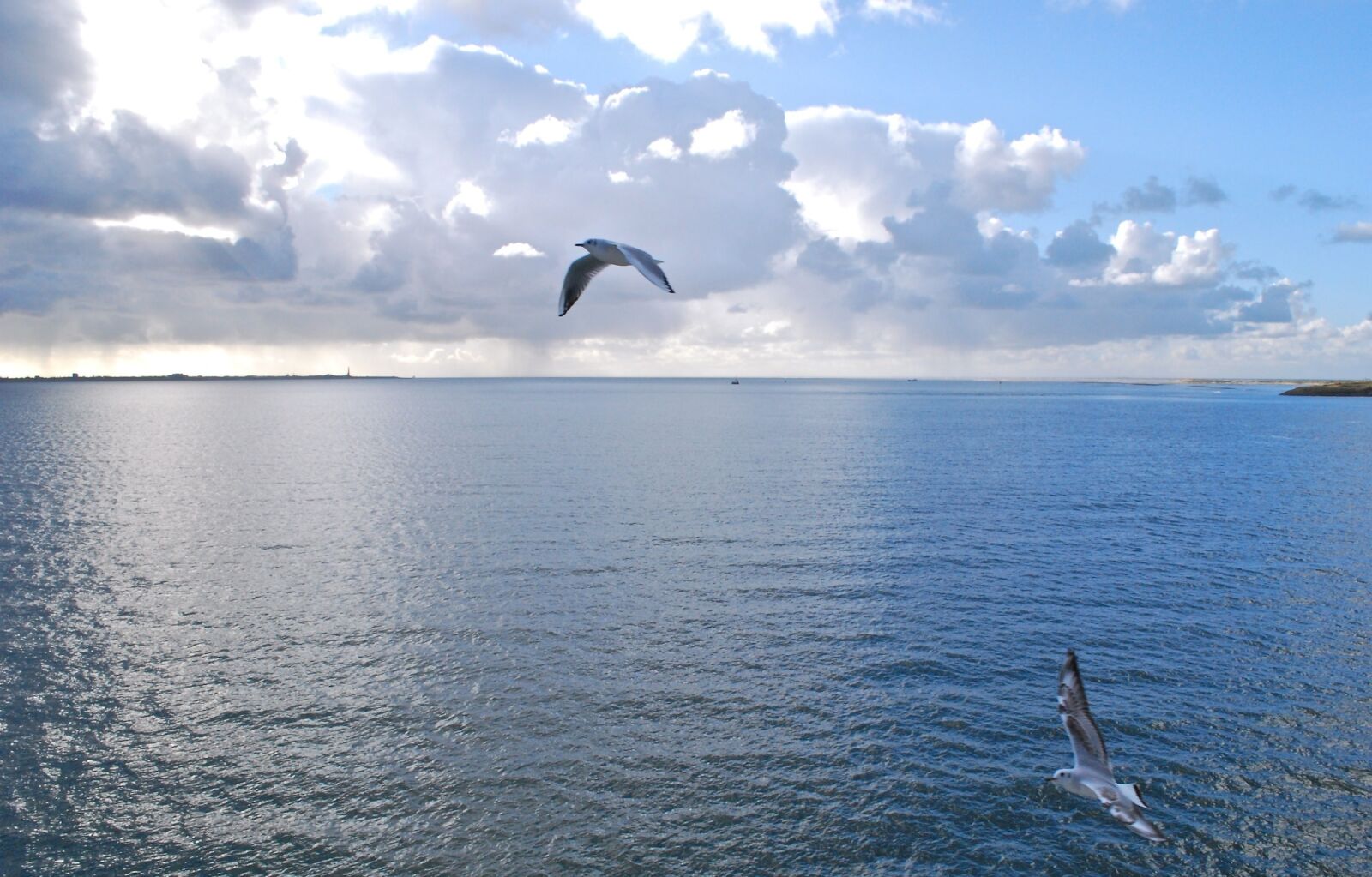 Nikon D60 sample photo. Mediterranean, summer vacation, mallorca photography