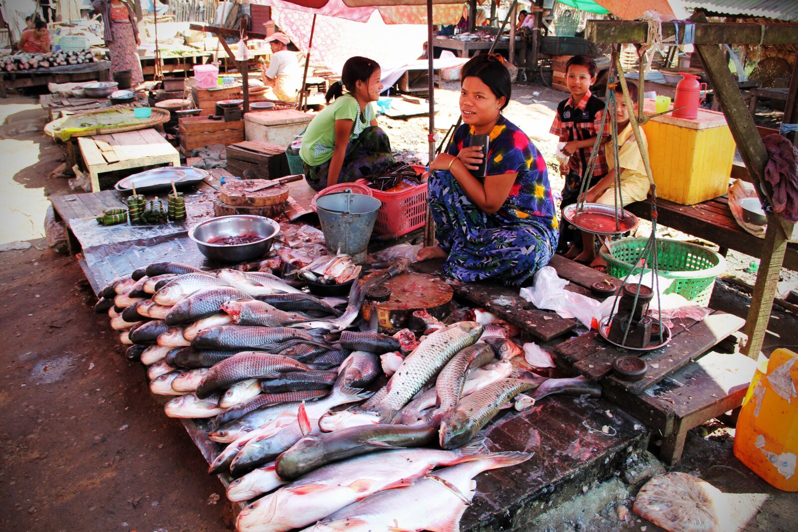 Canon EF-S 18-135mm F3.5-5.6 IS sample photo. Fish market, market, fish photography