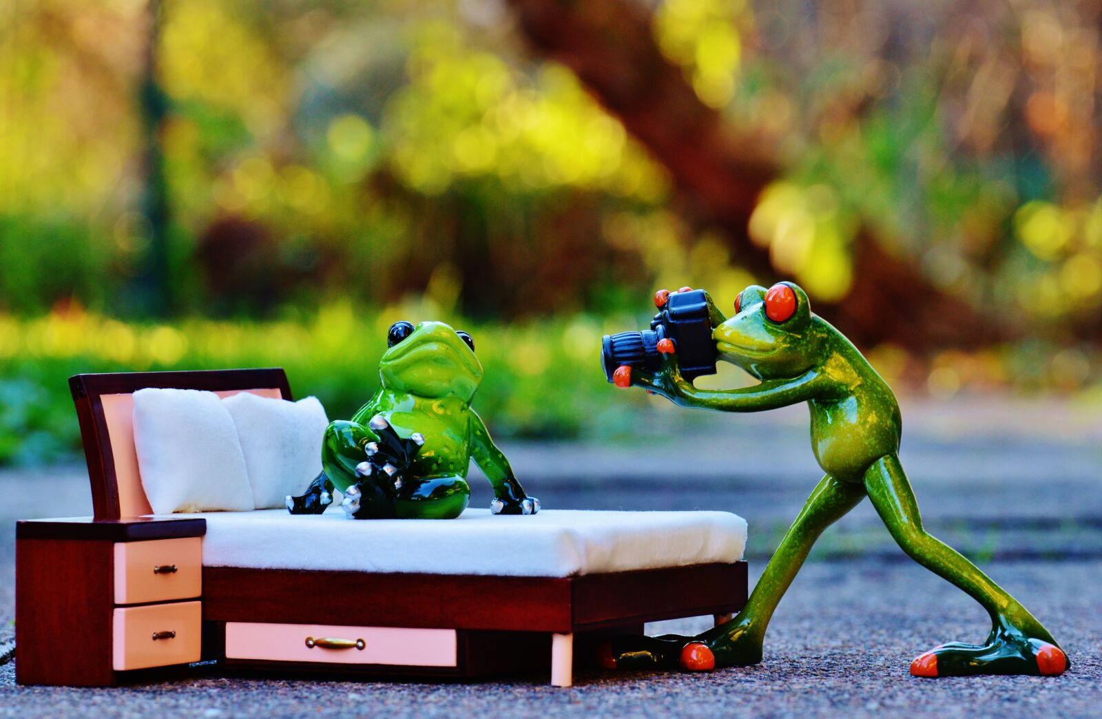 Nikon D3200 sample photo. Photographer, frog, photo shoot photography