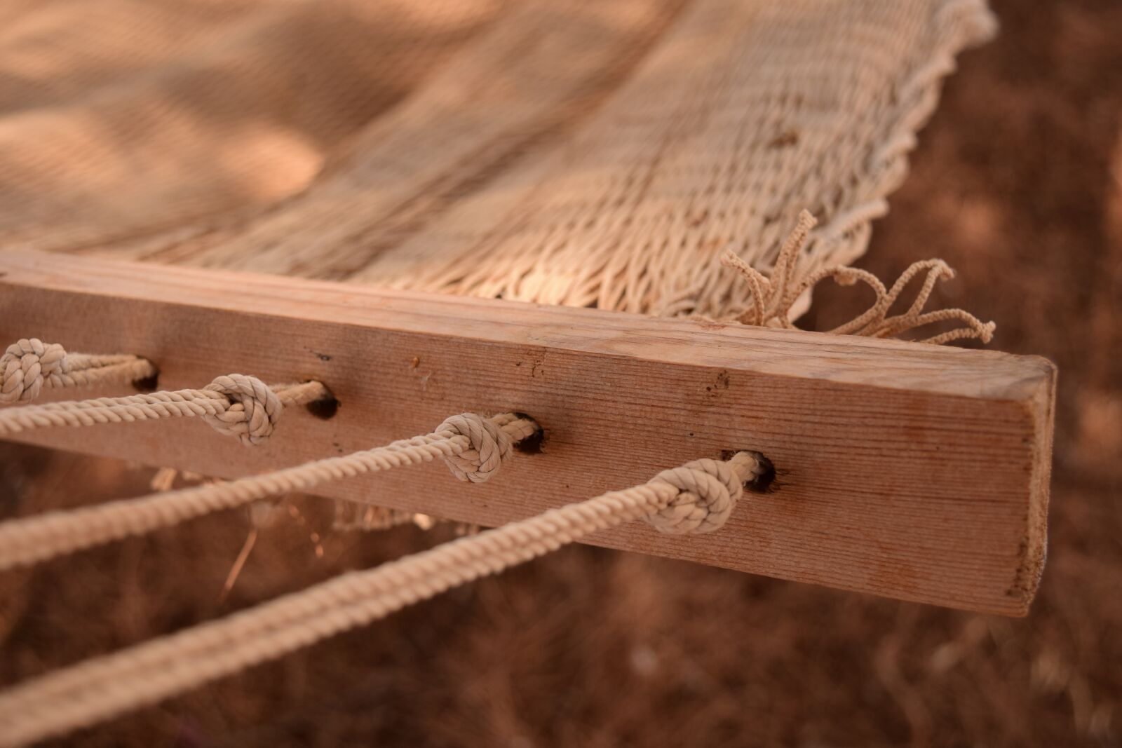 Nikon D3300 sample photo. Hammock, close up, web photography