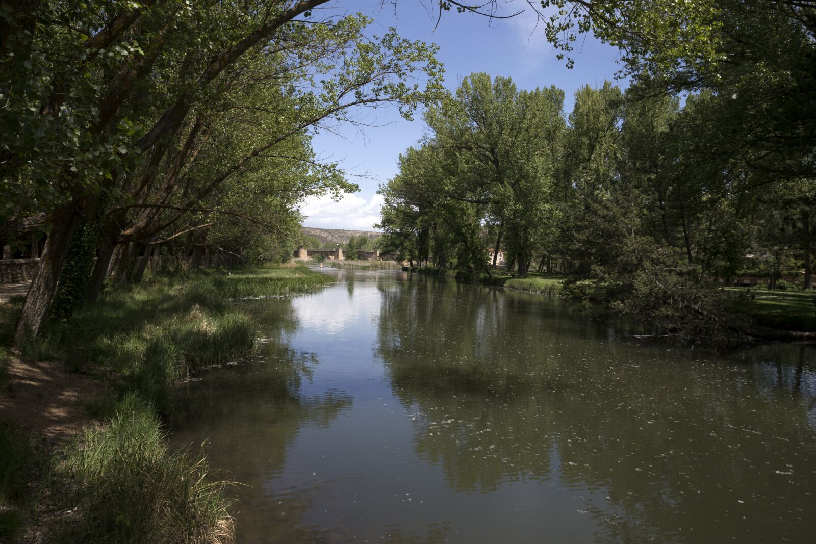 Canon EOS 6D sample photo. River, water, landscape photography