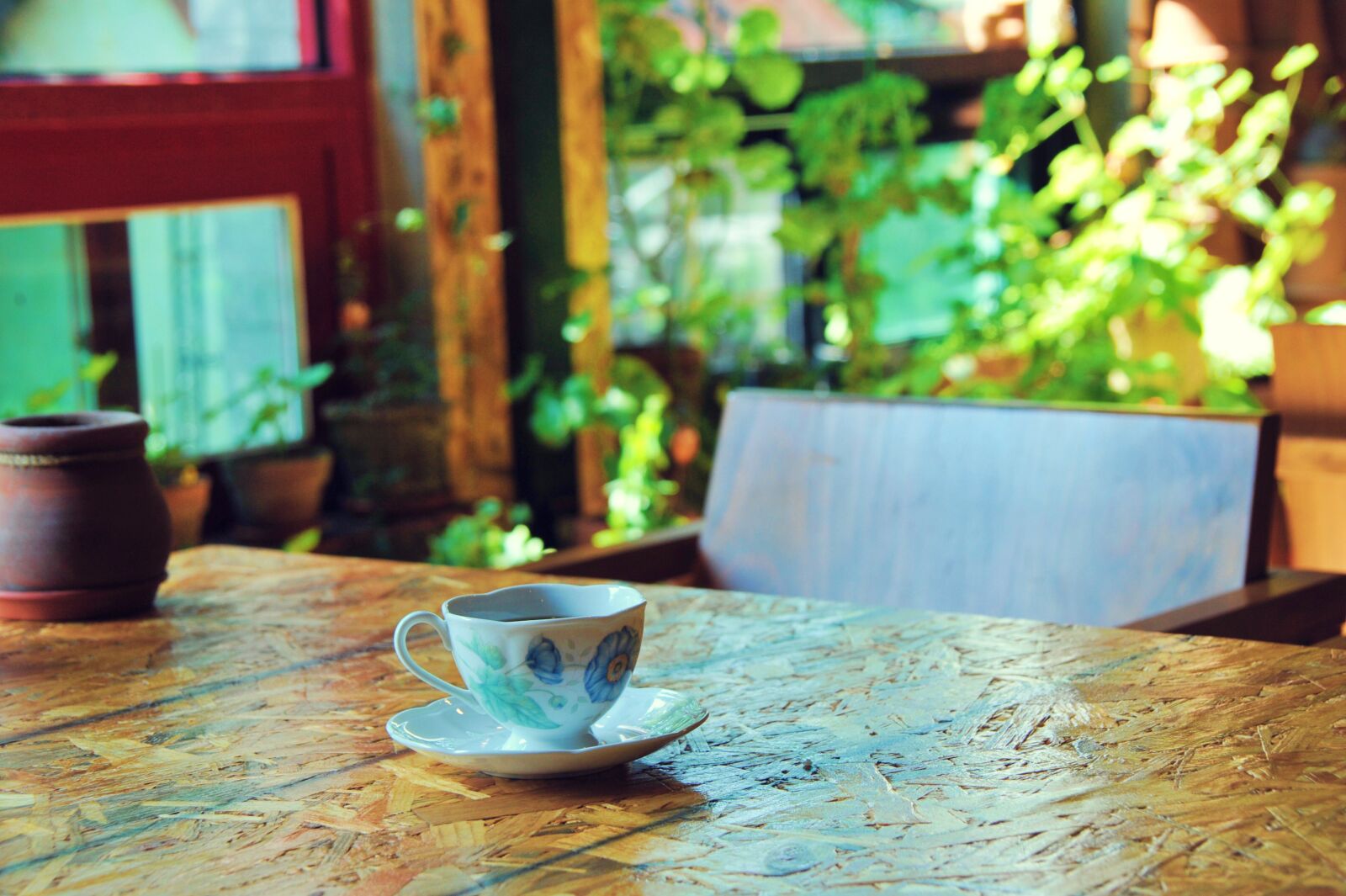 Nikon D700 sample photo. Coffee, free, plants photography