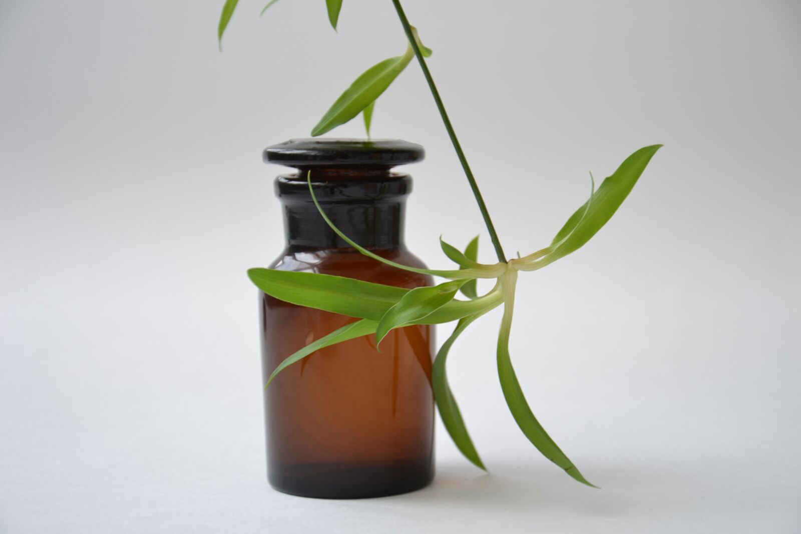 Nikon D3100 sample photo. Shtanglas, pharmacy, glass bottle photography
