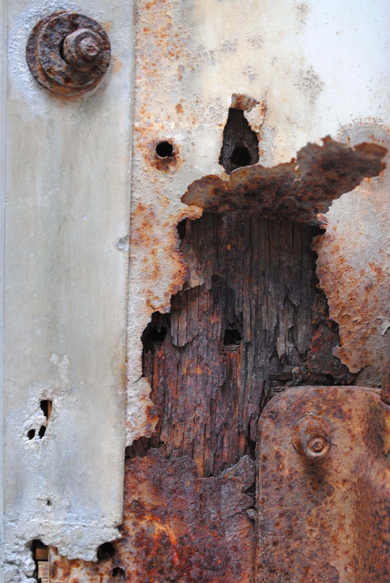 Nikon D3000 sample photo. Texture, rust, brown photography