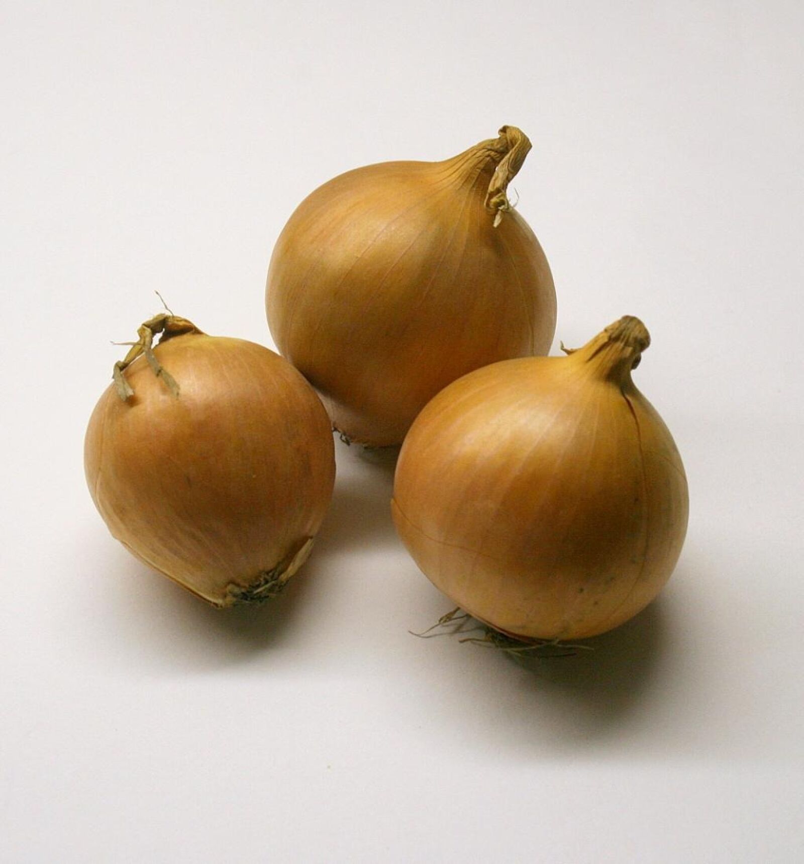 Canon EOS 30D sample photo. Onions, vegetables, ingredient photography