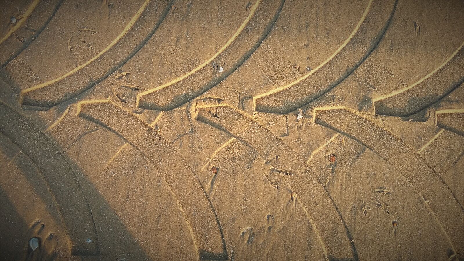 Samsung Galaxy Grand Prime sample photo. Sand, trace, tractors photography